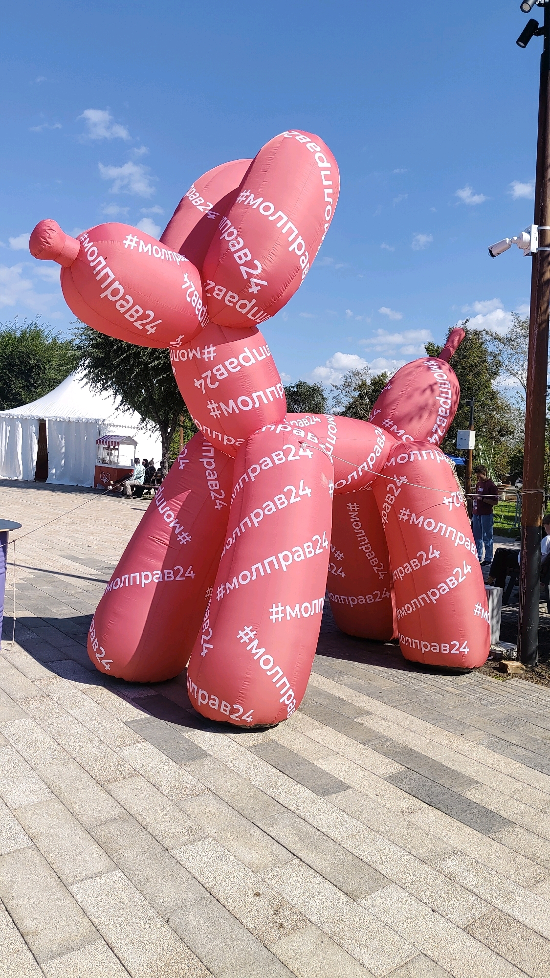 An inflatable pink balloon dog sculpture, emblazoned with the hashtag "#моллправ24" in white lettering, stands on a paved walkway in an outdoor public space under a blue sky with scattered white clouds. The sculpture is large and appears to be made of a shiny material. In the background, there is a white tent with a small red and white booth in front of it. Several people are visible sitting and standing near the tent and booth. To the right of the sculpture, a dark wooden pole with several security cameras and other equipment attached is visible. Trees and foliage line the background. The walkway is made of light-colored rectangular pavers with some darker rectangular sections. The overall scene suggests an outdoor event or promotional activity in a park or public square in the city of Krasnoyarsk, Russia.