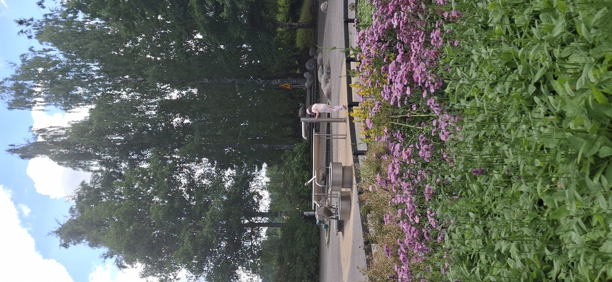 The image depicts an outdoor scene in Lahti, Finland, likely a park or playground area. In the foreground, a dense patch of vibrant pink wildflowers with green foliage dominates the lower portion of the frame. Behind the flowers, a black metal fence separates the flower bed from a paved area where a water play feature is situated. This feature consists of metallic pipes and basins, with a child wearing a pink cap and striped leggings interacting with it. The child is facing away from the camera, touching a vertical metal pole. In the background, several tall deciduous trees with lush green leaves are visible, forming a natural backdrop. The sky above is partly cloudy with white cumulus clouds against a pale blue sky. A yellow triangular warning sign is also visible behind the water play structure.