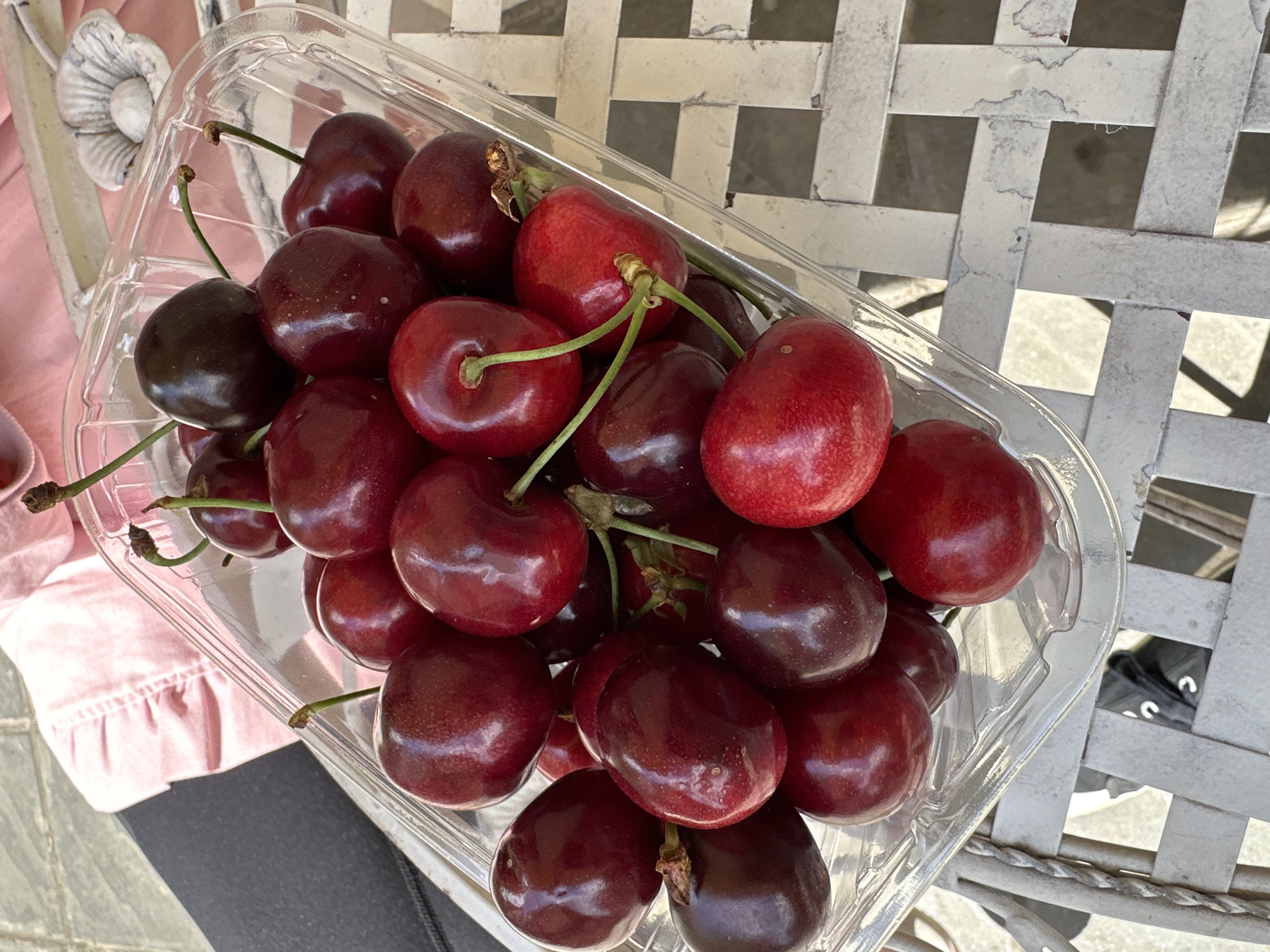 A clear plastic container filled with dark red cherries with green stems sits on a weathered, white, woven metal table. The container is positioned at an angle. The table is situated outdoors, suggested by the lighting and the partial view of a person in pink clothing to the left. The background shows the table's woven pattern, and the legs of the table. A glimpse of a black object with white markings is visible under the table. The location is not discernible as the image does not contain identifiable landmarks, signage, or other indicators specific to the city of Sofia, Bulgaria.