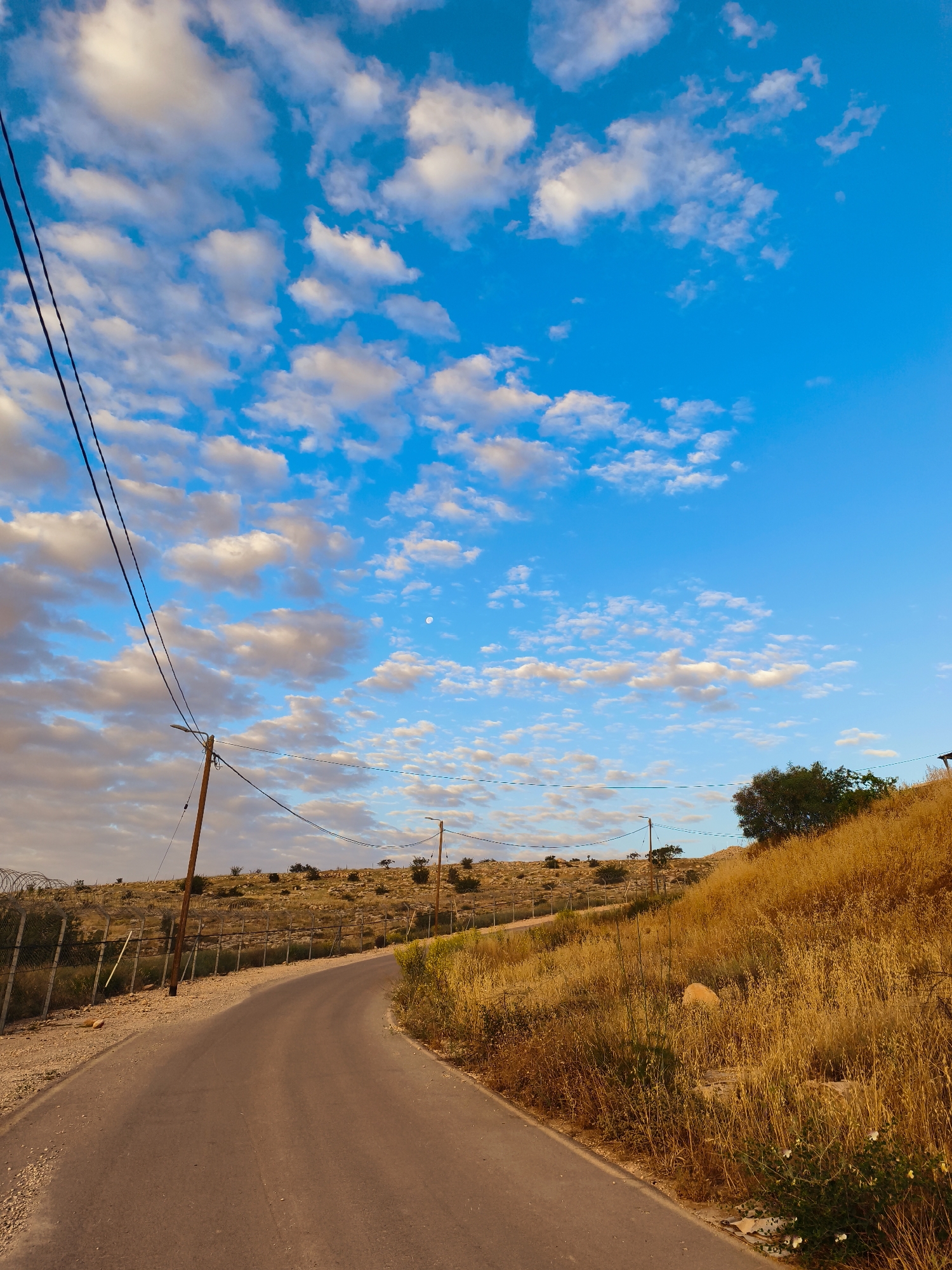 The image presents a serene, open landscape, likely captured during the golden hour of either dawn or dusk, indicated by the warm, directional light. A narrow, asphalt road gently curves away from the viewer towards the horizon, framed by rolling, arid hills.
The sky is a vibrant blue, filled with numerous scattered white cumulus clouds that exhibit soft orange and pink hues from the low sun. A faint, nearly full moon is distinctly visible in the upper right quadrant of the sky.
On the left side of the road, a series of wooden utility poles with overhead power lines run parallel to the road. Below the lines, a tall fence, appearing to be chain-link topped with barbed wire, borders the road, separating it from a dry, rocky hillside dotted with sparse trees and bushes.
To the right, a steep embankment is covered in thick, dry, golden-yellow grass and sparse shrubs, extending up to the top of the hill. A few small, green trees are visible further up the hillside. The overall setting suggests a rural or semi-desert environment, consistent with the Lachish Regional Council in Israel. There are no people visible, and no discernible text appears in the image. The scene conveys a sense of peaceful solitude and the natural beauty of a dry, Mediterranean landscape.