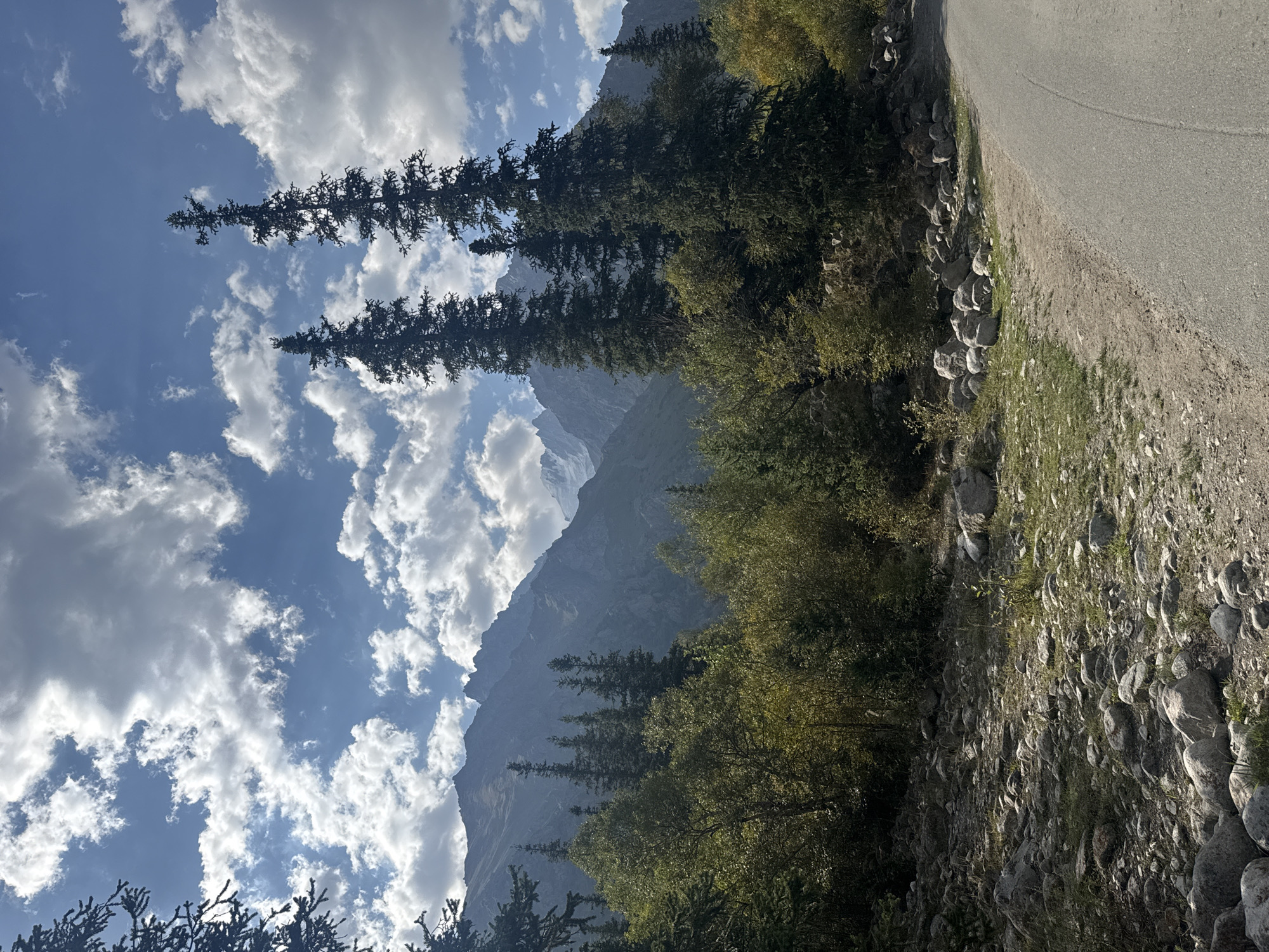 The image captures a scenic mountain landscape in an unknown location in Kyrgyzstan. The foreground features a paved road curving to the right, bordered by a rocky and grassy verge. Beyond the road, dense vegetation, including trees and bushes with autumnal foliage, lines the path. Towering evergreen trees stand prominently amidst the greenery, reaching towards the sky. In the background, majestic, rugged mountains dominate the horizon, their peaks partially obscured by a dramatic sky filled with white, fluffy clouds against a clear blue backdrop. The lighting suggests it is daytime, with the sun casting shadows and highlighting the textures of the landscape. No people or animals are visible in the scene.