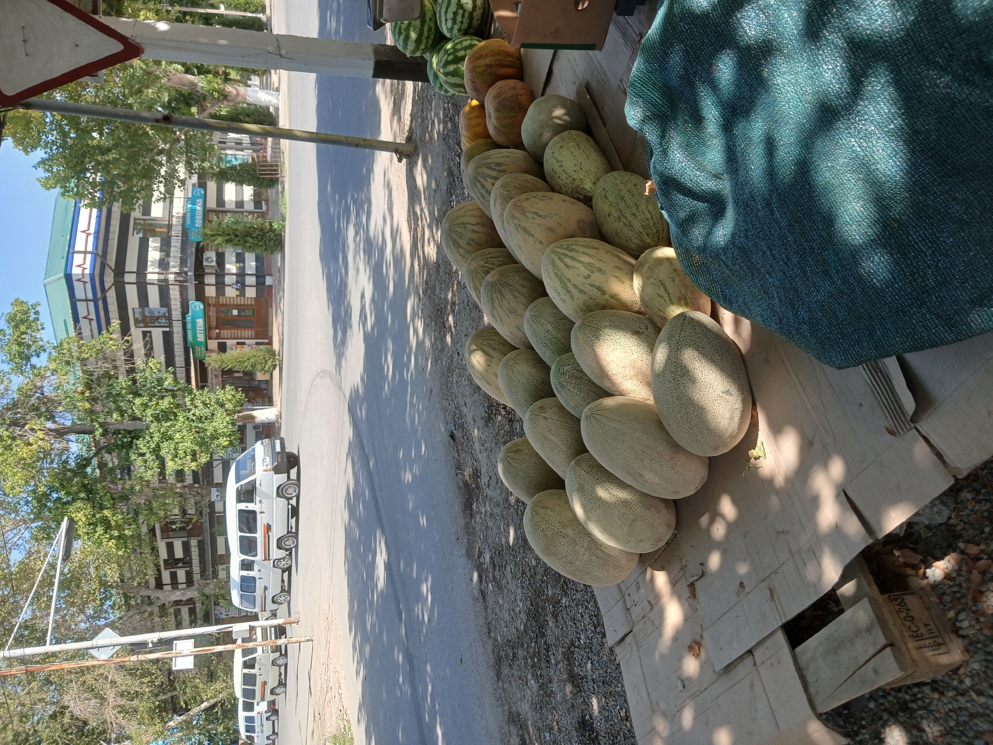 The image depicts a street scene in Talmazar, Uzbekistan, on a sunny day. In the foreground, a large assortment of cantaloupes are displayed on cardboard and wooden planks on the side of the road. Behind the melons, several watermelons are stacked. The street is paved, and to the left, a line of white minivans is parked. Across the street, a two-story building with a distinctive black and white striped facade stands, with trees and signage visible. A traffic sign and a utility pole are present on the right side of the image. The environment appears to be an urban or semi-urban area, with the presence of shops, vehicles, and a roadway.