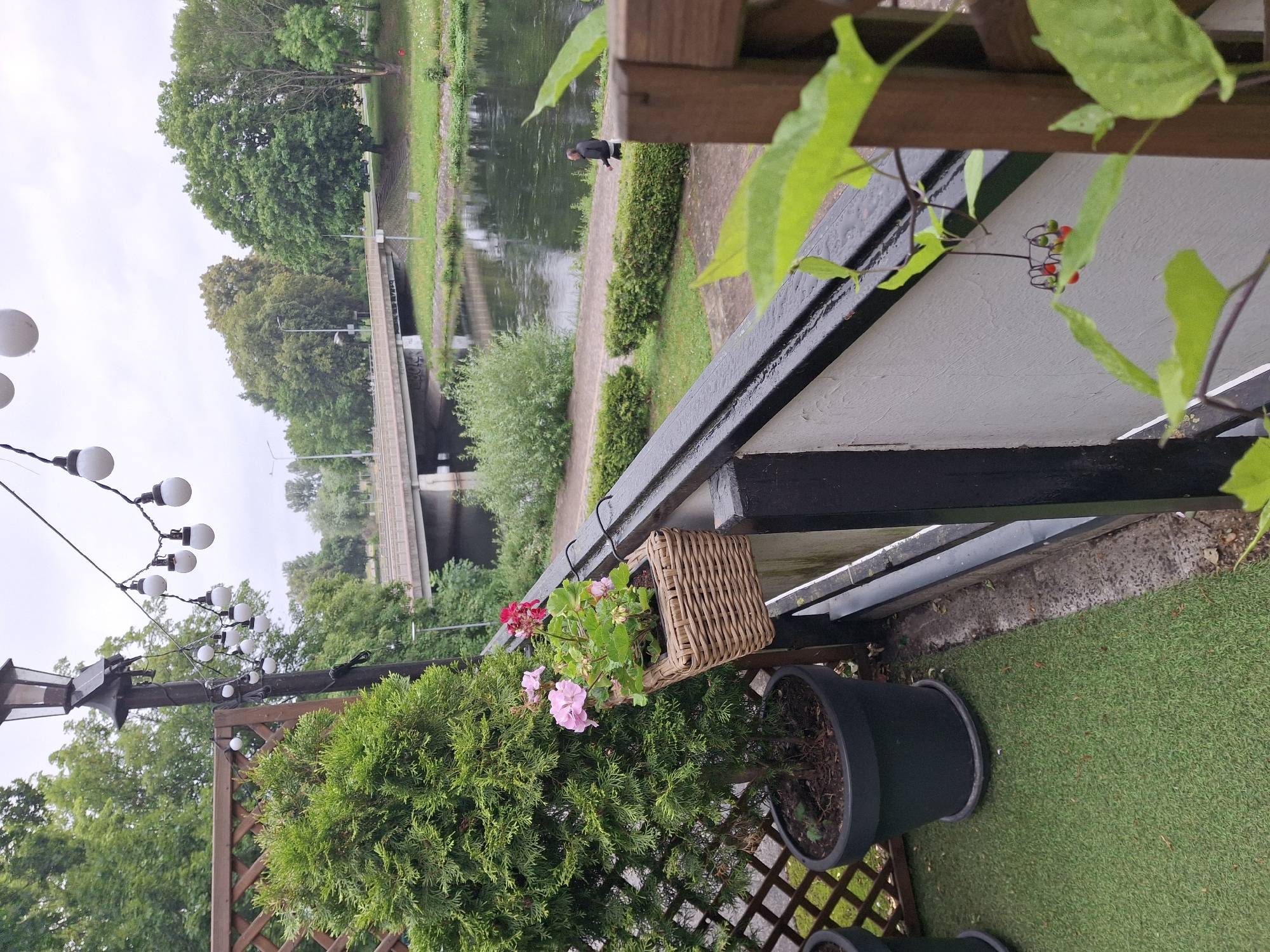 This is a medium shot of a balcony with a railing, looking towards a river and a bridge in the city of Pila, Poland. In the foreground, to the left, is a tall, green conical evergreen tree in a dark pot, with a decorative lattice screen behind it. To the right of the evergreen, a small wicker basket hangs from the railing, containing pink and red flowers. The railing is black with white trim. Beyond the railing is a river with dark water, bordered by a paved path and green grass. In the middle ground, a pedestrian bridge crosses the river, with trees on either side. A lone person in a dark jacket and white shorts walks on the path beside the river. In the background, more trees and a cloudy sky are visible. The scene appears to be outdoors, possibly in a public park or restaurant with a view of the river.