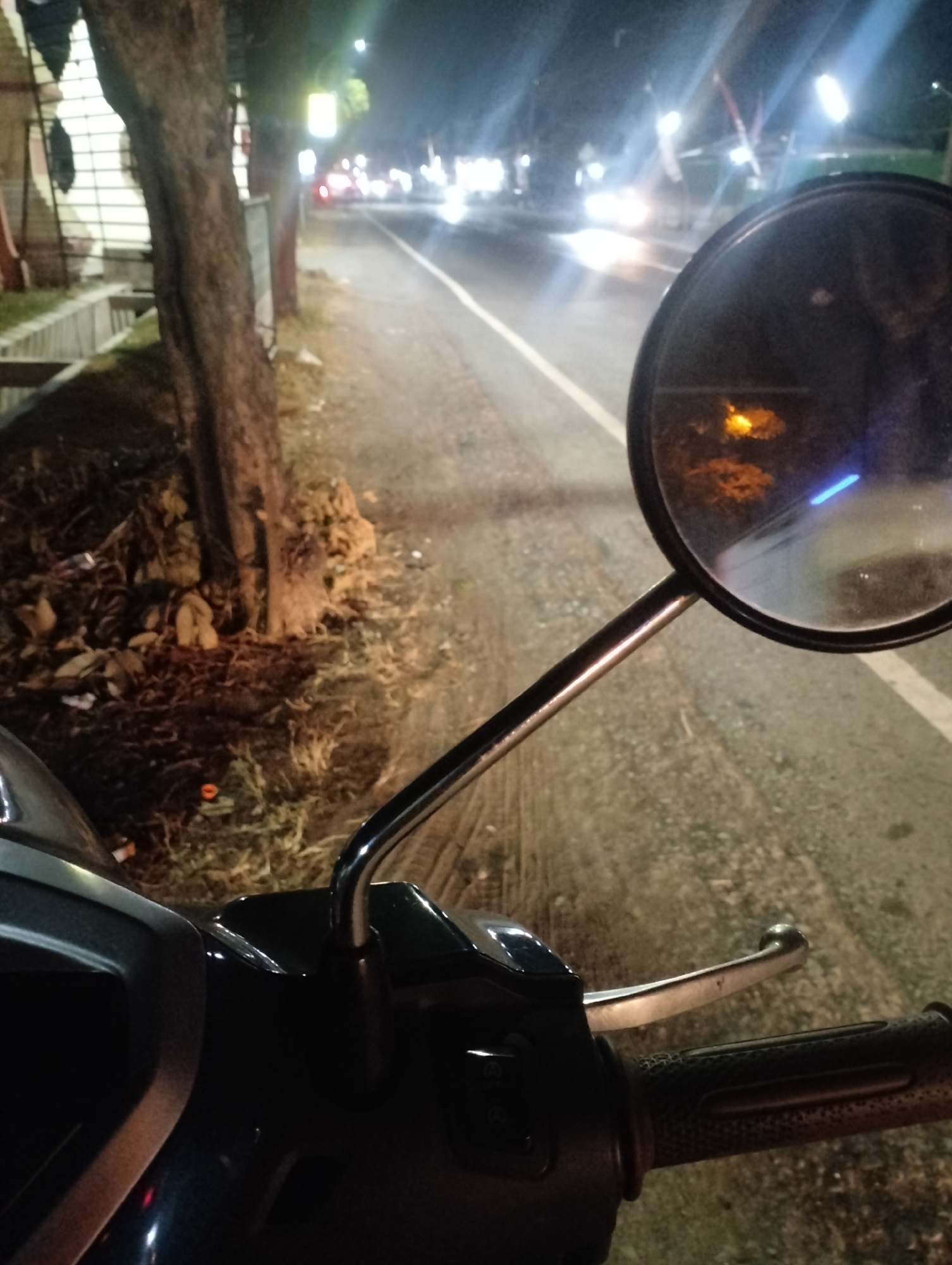 The image depicts a nighttime scene on a road in Driyorejo, Indonesia. The perspective is from a motorcycle, with the handlebar and a portion of the front of the vehicle visible in the foreground. To the left, a tree trunk and some debris on the ground are illuminated by streetlights. The road stretches ahead, marked by a white line, and is illuminated by the headlights of passing vehicles, which appear as streaks of light. A motorcycle's rearview mirror is prominently featured, reflecting the road, a street light, and a bluish light that may be from another vehicle's indicator or a taillight. The environment appears to be urban or semi-urban, with some structures or fences visible in the background to the left, and lights suggesting buildings or street lamps further down the road. There are no people clearly visible in the frame.