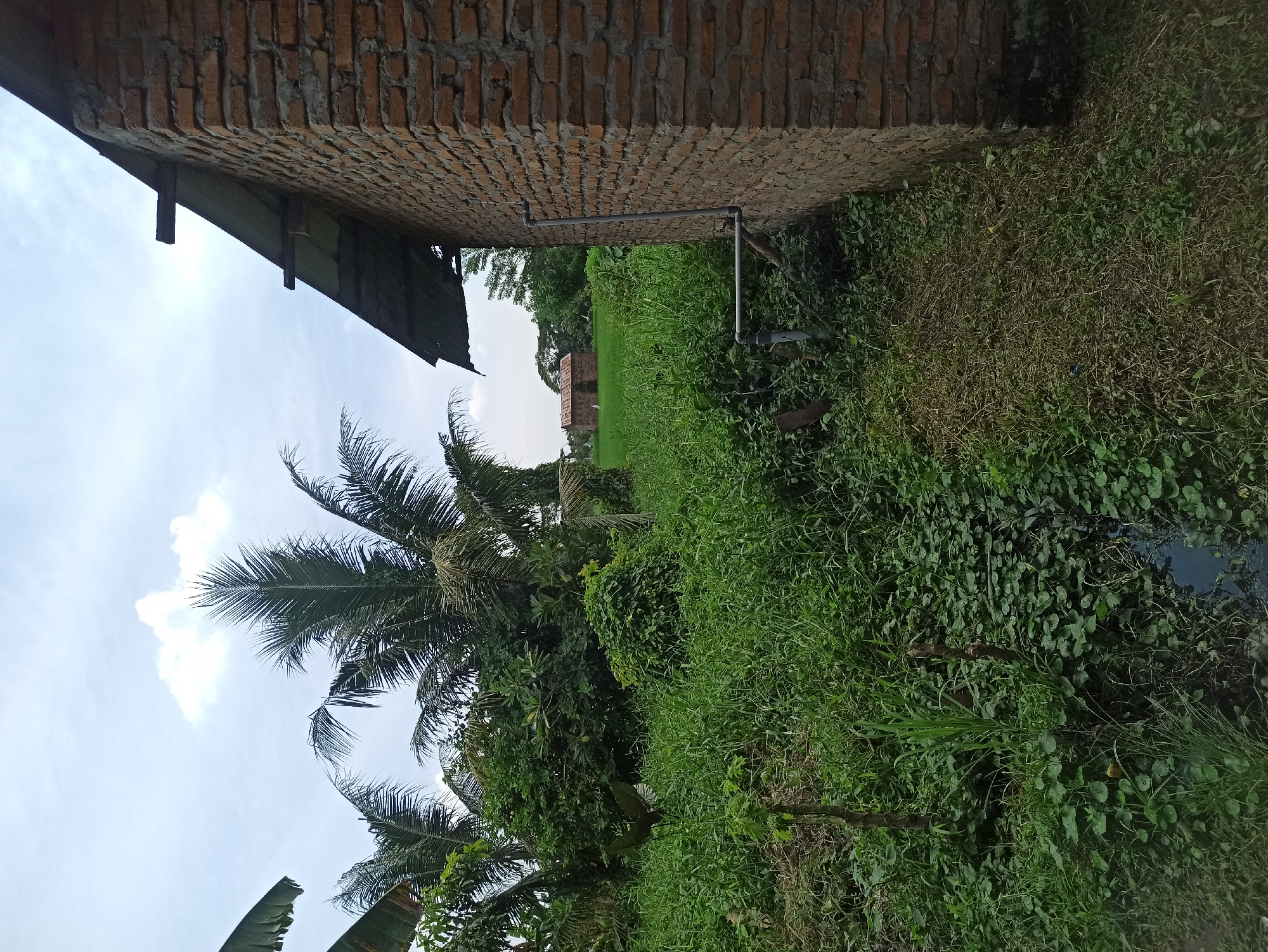 The image depicts a partially constructed brick building with a corrugated metal roof, viewed from the side. The building is surrounded by lush green vegetation, including tall grass and trees. In the background, there is another smaller building with a red tiled roof situated in a field. The sky is overcast with scattered clouds. The scene appears to be in a rural or semi-rural area, possibly on the outskirts of the City of Medan, Indonesia, given the presence of tropical vegetation and the architectural style of the buildings. There are no people visible in the image. A gray pipe runs along the exterior wall of the brick building.
