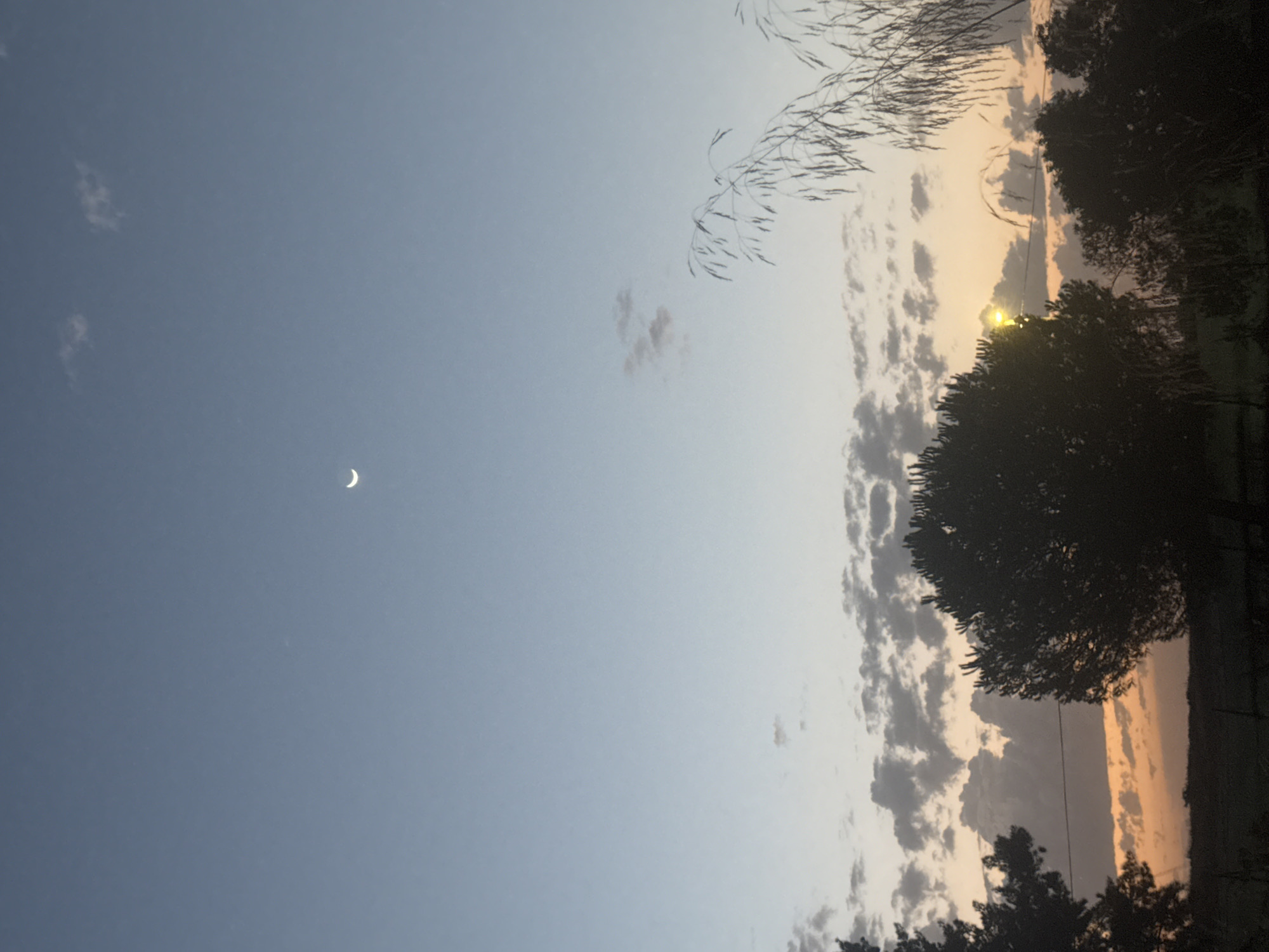 The image captures a serene twilight scene in Corvera, Spain, dominated by a vast expanse of pale blue sky transitioning into warmer hues near the horizon. A slender, crescent moon is visible in the upper portion of the sky. Scattered across the sky are wispy clouds, some tinged with the orange and pink of the setting sun. In the foreground, silhouetted trees and foliage create a dark, textured border against the illuminated sky. Notably, a single, bright light source, possibly a streetlamp or a distant building light, shines through the branches of a tree, adding a point of interest to the composition. The landscape below the sky appears dark and indistinct, suggesting a rural or semi-rural setting. There are no people or discernible actions depicted in the image.