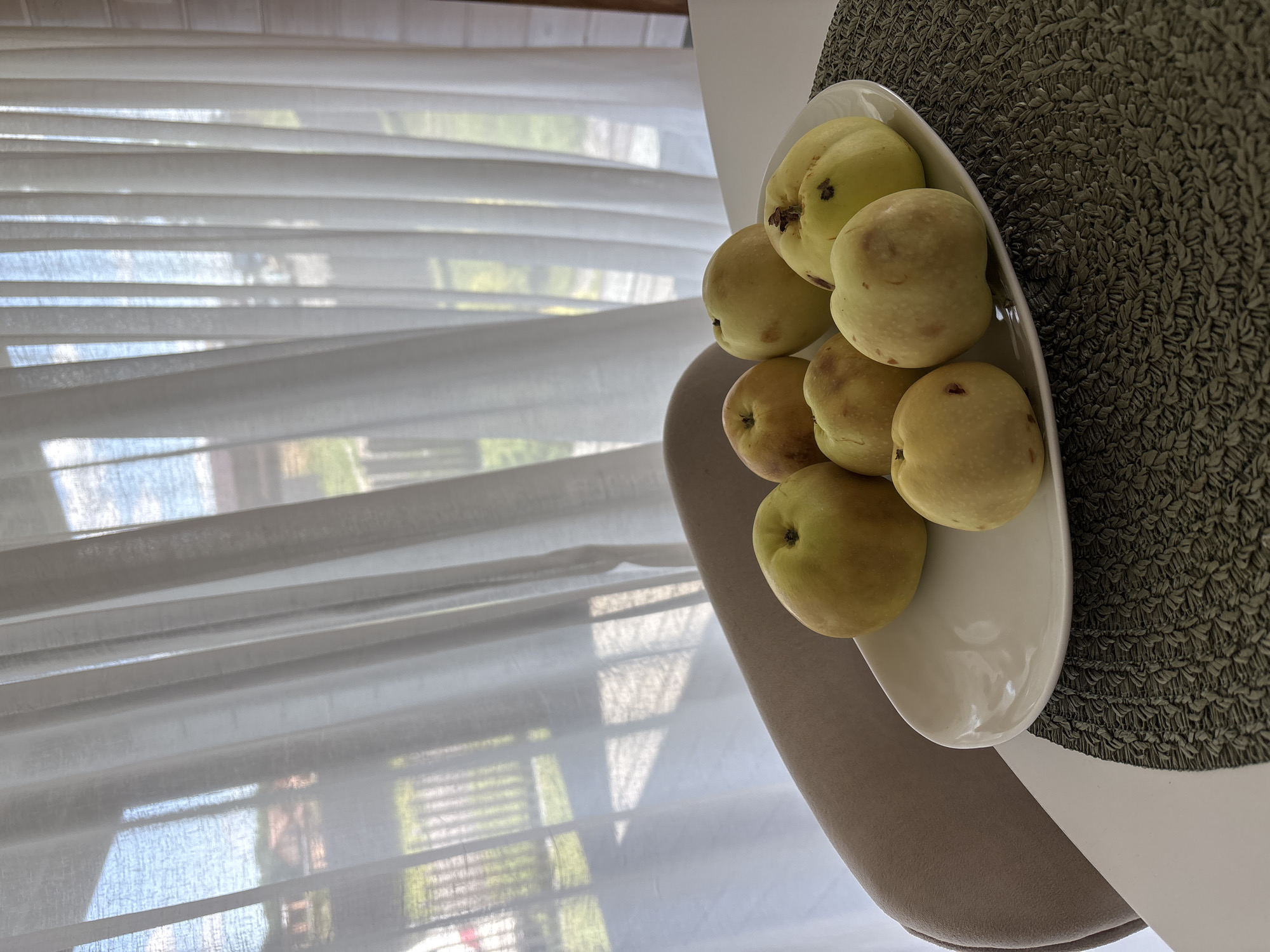 A close-up, eye-level, indoor shot focuses on a white, oval-shaped plate filled with approximately seven yellow-green quinces. The quinces vary slightly in shape and size, with some exhibiting small blemishes or dark spots. They are arranged casually on the plate.
The plate rests on a woven, dark green placemat, which is positioned on a white table. To the left, a portion of a beige upholstered chair is visible, its curved back and seat suggesting a modern design.
In the background, sheer white curtains hang vertically, diffusing the natural light. Through the curtains, a blurry view of an outdoor scene can be discerned, showing a green lawn, a fence, and buildings with reddish roofs, characteristic of a suburban or rural setting. The overall lighting is soft and diffused, indicating daytime.
The scene is likely set in Zvenigorod, Russia, given the architectural style visible through the curtains and the domestic setting. The image captures a still life arrangement of fruit within a home environment.