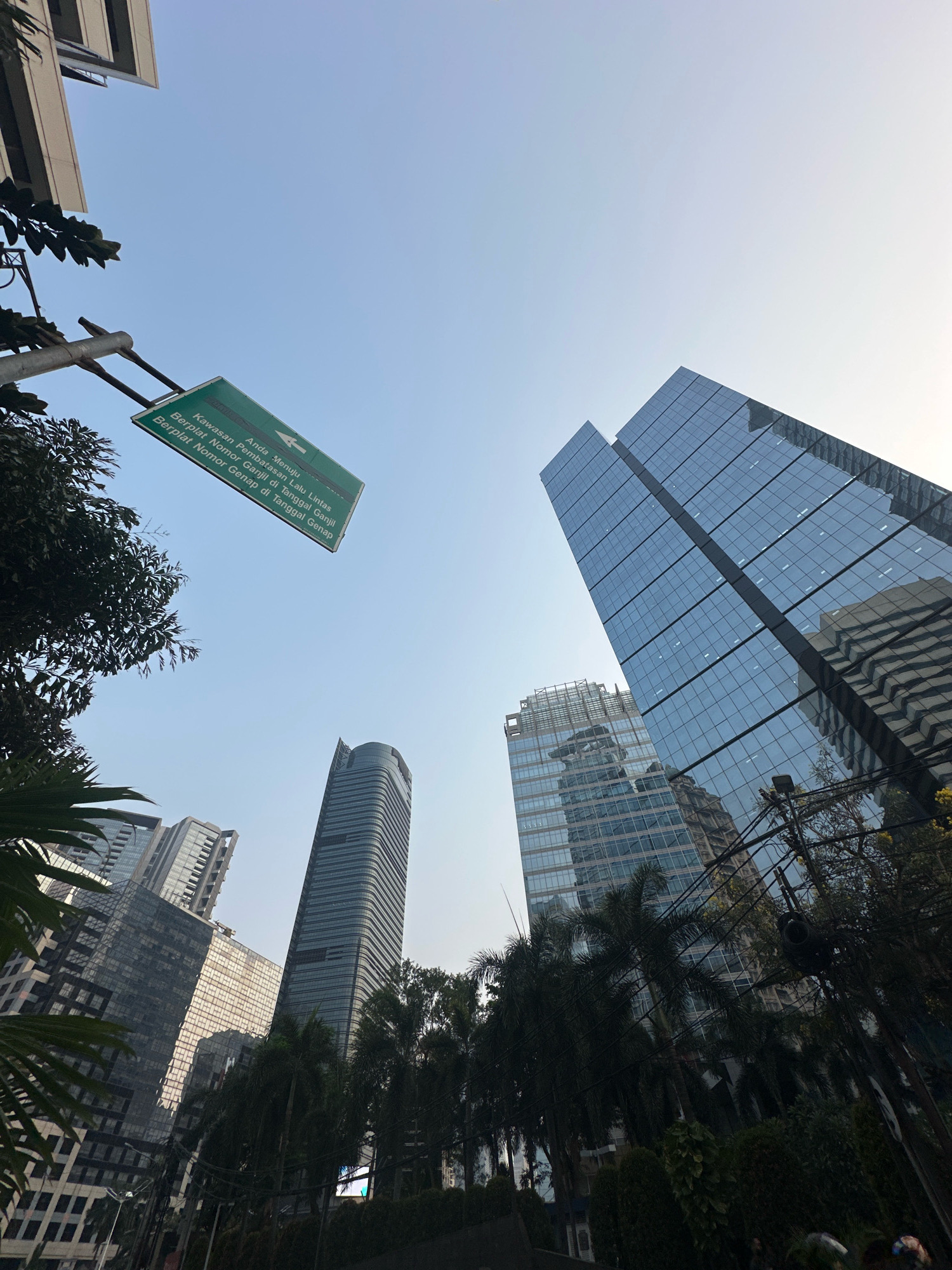 The image is a low-angle shot looking up at a clear blue sky with several modern skyscrapers dominating the frame. In the foreground, a green directional sign is mounted on a metal pole, indicating traffic regulations. The sign reads, in Indonesian: "Anda Menuju Kawasan Pembatasan Lalu Lintas Berplat Nomor Ganjil di Tanggal Ganjil" (You are heading towards the Odd-Numbered License Plate Traffic Restriction Zone on Odd Dates) and "Berplat Nomor Genap di Tanggal Genap" (Even-Numbered License Plate on Even Dates).
To the left of the sign, the leaves of a tree are visible. The skyscrapers are characterized by their glass facades, reflecting the sky and surrounding buildings. One prominent building in the center-right appears to be two towers fused together, with a distinct geometric design. Other buildings of varying heights and architectural styles are scattered throughout the scene. In the lower part of the image, palm trees and other foliage create a contrast with the urban architecture. Electrical wires and a traffic light are also visible, suggesting a busy street environment. The overall impression is that of a modern urban landscape in a tropical climate. The sign specifically points to a traffic restriction zone, indicating the location is likely within a developed area of South Jakarta, Indonesia, where such regulations are enforced.