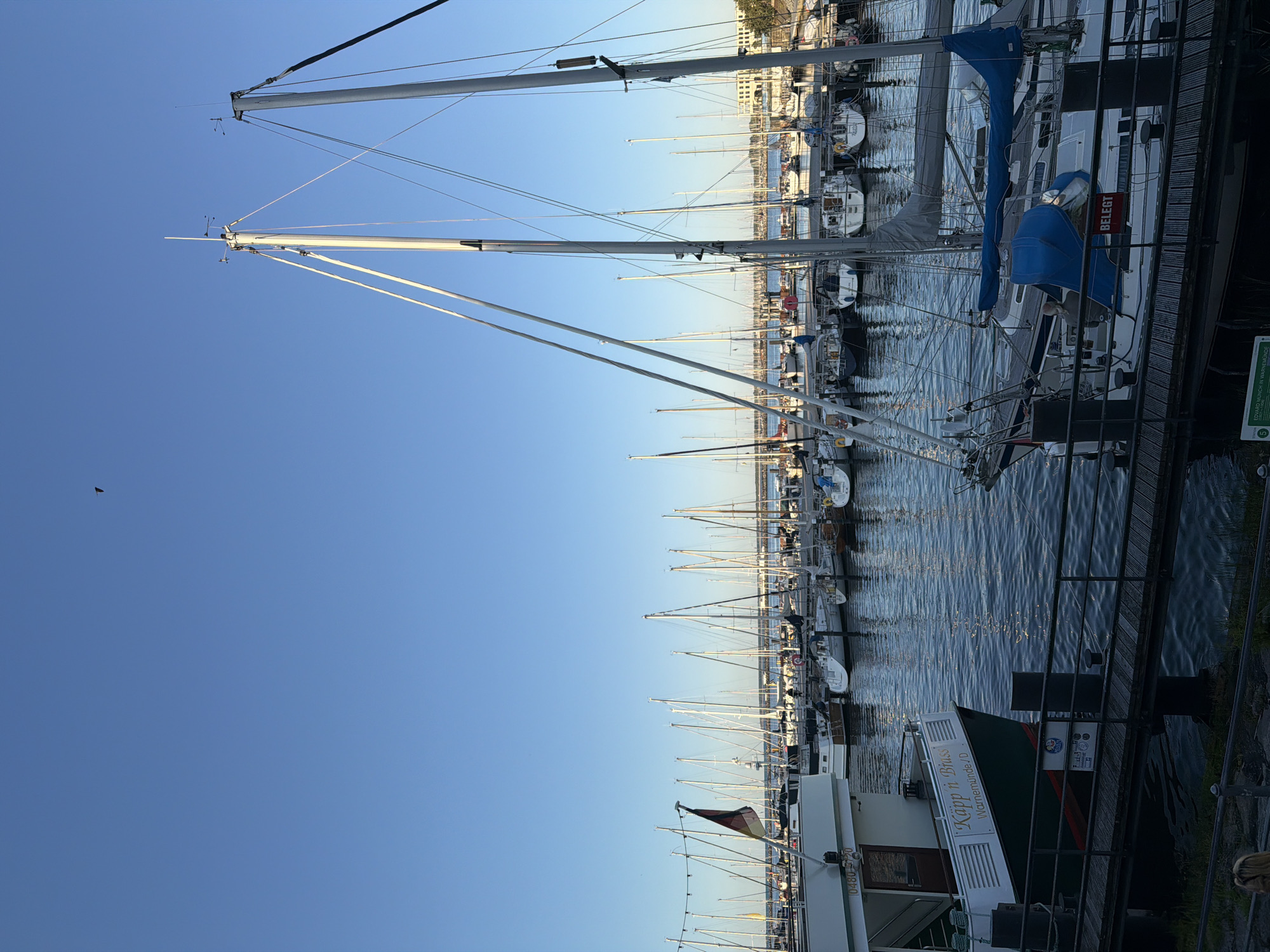This is a daytime, eye-level, outdoor photograph of a harbor in Warnemünde, a seaside resort district of Rostock, Germany. The scene is dominated by the clear blue sky and a multitude of sailboats moored in the water. The water is calm and reflects the masts and rigging of the boats. A wooden pier or walkway runs along the foreground, with railings.
In the foreground, to the left, is the side of a larger vessel with the text "Käpp'n Bruss" and "Warnemünde /D" visible. The vessel is white with a dark green hull.
Further into the harbor, numerous sailboats are neatly docked. Their masts, with intricate rigging, create a strong vertical element against the sky. The sails are furled. Some boats have covers on their booms or cockpits, one of which is bright blue.
In the middle ground, beyond the sailboats, a body of water stretches towards a distant shoreline. On the distant shoreline, buildings with light-colored facades are visible. A body of water with a darker hue appears to be a channel or further out at sea, with more boats visible. A flag, appearing to be the German flag, is visible on the left side of the image, flying from a mast on a boat.
In the sky, a single bird is visible as a small dark silhouette in the upper left quadrant of the image. The overall atmosphere is serene and peaceful, characteristic of a harbor setting on a clear day. The lighting suggests it is either early morning or late afternoon due to the long shadows and the quality of the light.