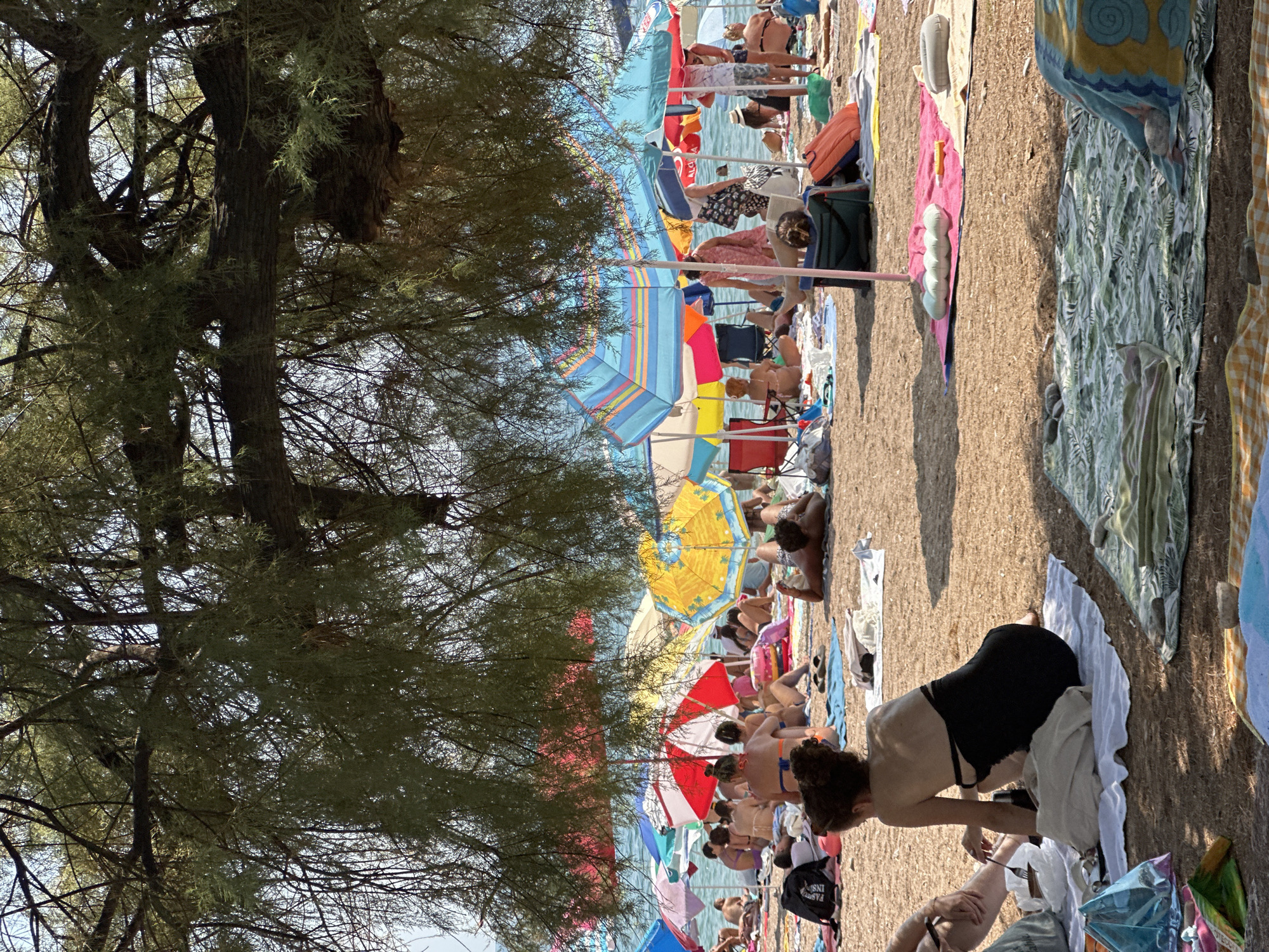 In Budva, Montenegro, a crowded beach is depicted under the dappled shade of a large tree. Numerous people are scattered across the sand, many reclining on towels and beach blankets, or sitting under a variety of colorful beach umbrellas. Some individuals are in swimsuits, while others wear casual clothing. Beach accessories like bags and towels are visible. The sea is in the background, dotted with more umbrellas and people. The scene suggests a typical summer day at the beach, with visitors enjoying the sun and sea.