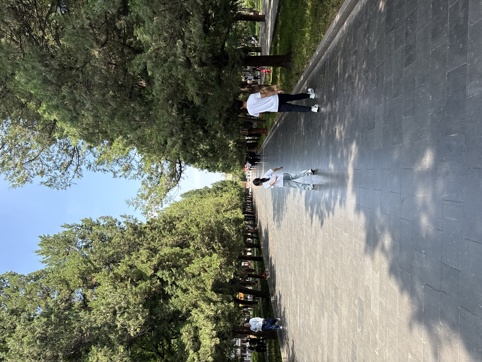 A wide, paved walkway lined with mature trees stretches into the distance under a clear blue sky. The walkway is made of large, dark grey rectangular stones, with patches of sunlight and shadow from the trees.
In the foreground, a young girl in a white t-shirt and grey pants stands with her back to the camera, facing further down the path. To her right, a man in a white t-shirt and black pants walks away from the camera. Further down the walkway, on the left side, a woman in a light blue shirt and dark jeans walks towards the camera. Other people are visible in the background, walking or sitting on benches.
The trees are tall and have dense green foliage, creating a canopy over parts of the walkway. The ground on either side of the path is covered in grass and some small plants. In the background, glimpses of buildings and what appear to be lampposts or decorative structures can be seen between the trees. The overall impression is of a well-maintained park or public space. The scene appears to be in the city of Dongcheng District, China.