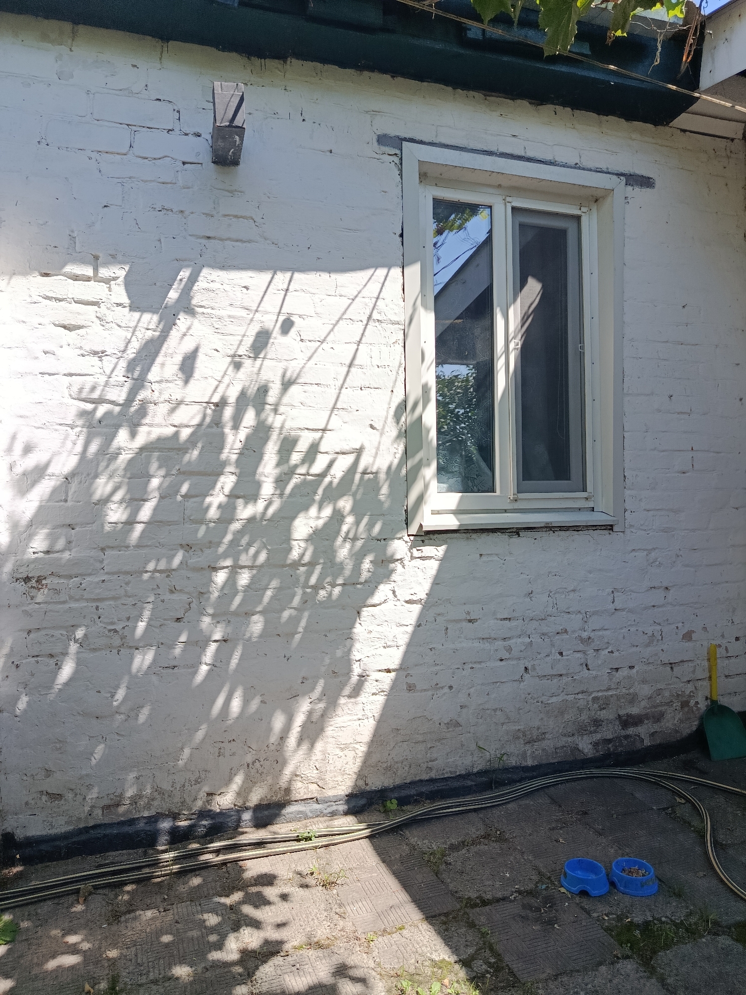 The image depicts an outdoor scene, likely a backyard or patio area, with a white brick wall as the dominant feature. The wall is textured and shows signs of age and some wear. A medium-sized window with a white frame is set into the wall. The window is divided into two panes, one of which has a screen. Sunlight casts dappled shadows from foliage onto the wall, creating an intricate pattern.
On the ground in front of the wall, there is a paved surface made of interlocking rectangular stones. A black sealant or border runs along the base of the wall. Two blue pet bowls, one empty and one containing some dry food, are placed on the paved area. A green shovel with a yellow handle leans against the wall near the right edge of the frame. Two ribbed hoses, one black and one yellow, are coiled on the ground. The scene is illuminated by natural sunlight, suggesting it is daytime. The overall environment appears to be somewhat unkempt, with some weeds growing through the paving stones and minor signs of weathering on the wall.