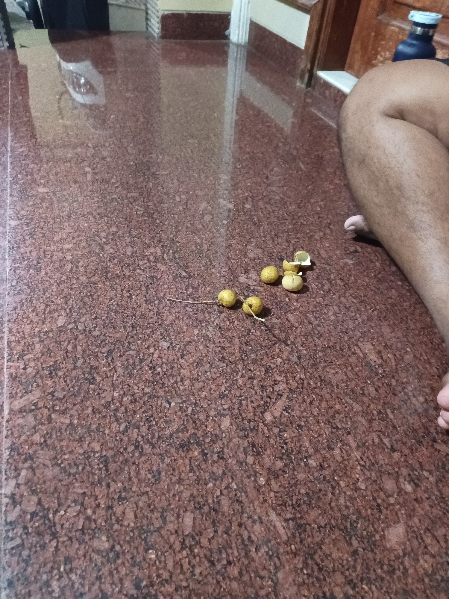 The image shows a close-up view of a reddish-brown speckled floor. On the floor, there are several small, round, yellowish fruits with thin stems. Some of the fruits appear to have been peeled, revealing a lighter interior. To the right of the fruits, a person's bare leg and foot are visible, indicating their presence in the scene. In the background, out of focus, there are hints of furniture and a doorway, suggesting an indoor setting. The flooring appears to be polished stone or tile, common in residential or commercial spaces. The lighting suggests it might be daytime indoors, with some ambient light reflecting off the shiny floor. The overall impression is a casual snapshot of a few fruits dropped on the floor next to someone's leg.