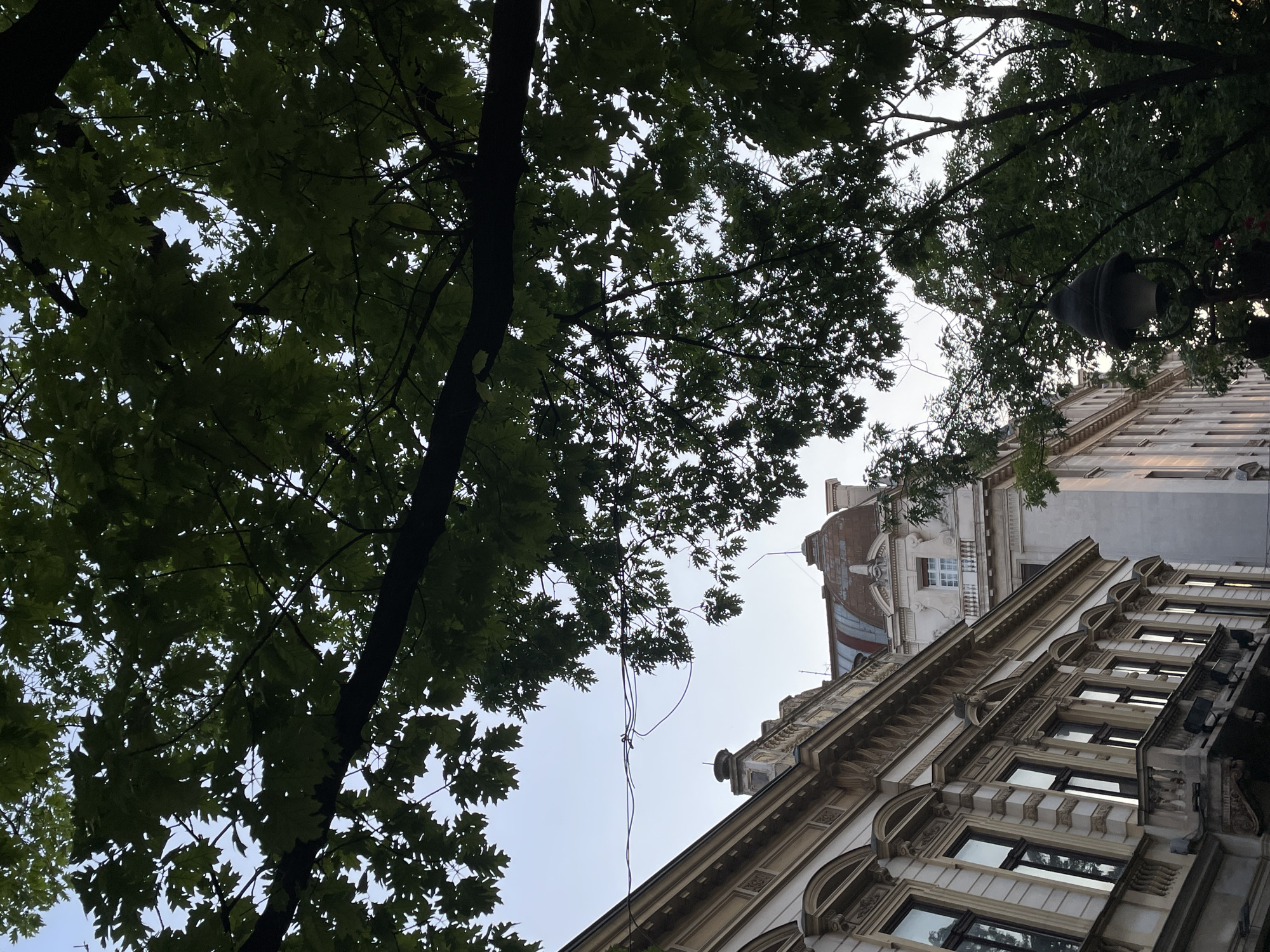 The image shows an upward view of buildings and trees against a pale sky. On the left, a light-colored building with ornate architectural details, including arched windows and balconies, is visible. To the right, another building with a mansard roof and a domed section is partially seen. Lush green tree branches and leaves dominate the upper and right portions of the frame, partially obscuring the sky and buildings. A dark lamppost with a decorative top is positioned in the lower right corner, surrounded by foliage. Overhead, power lines are strung across the sky. The scene appears to be a streetscape in Belgrade, Serbia, likely during daylight hours given the ambient light.