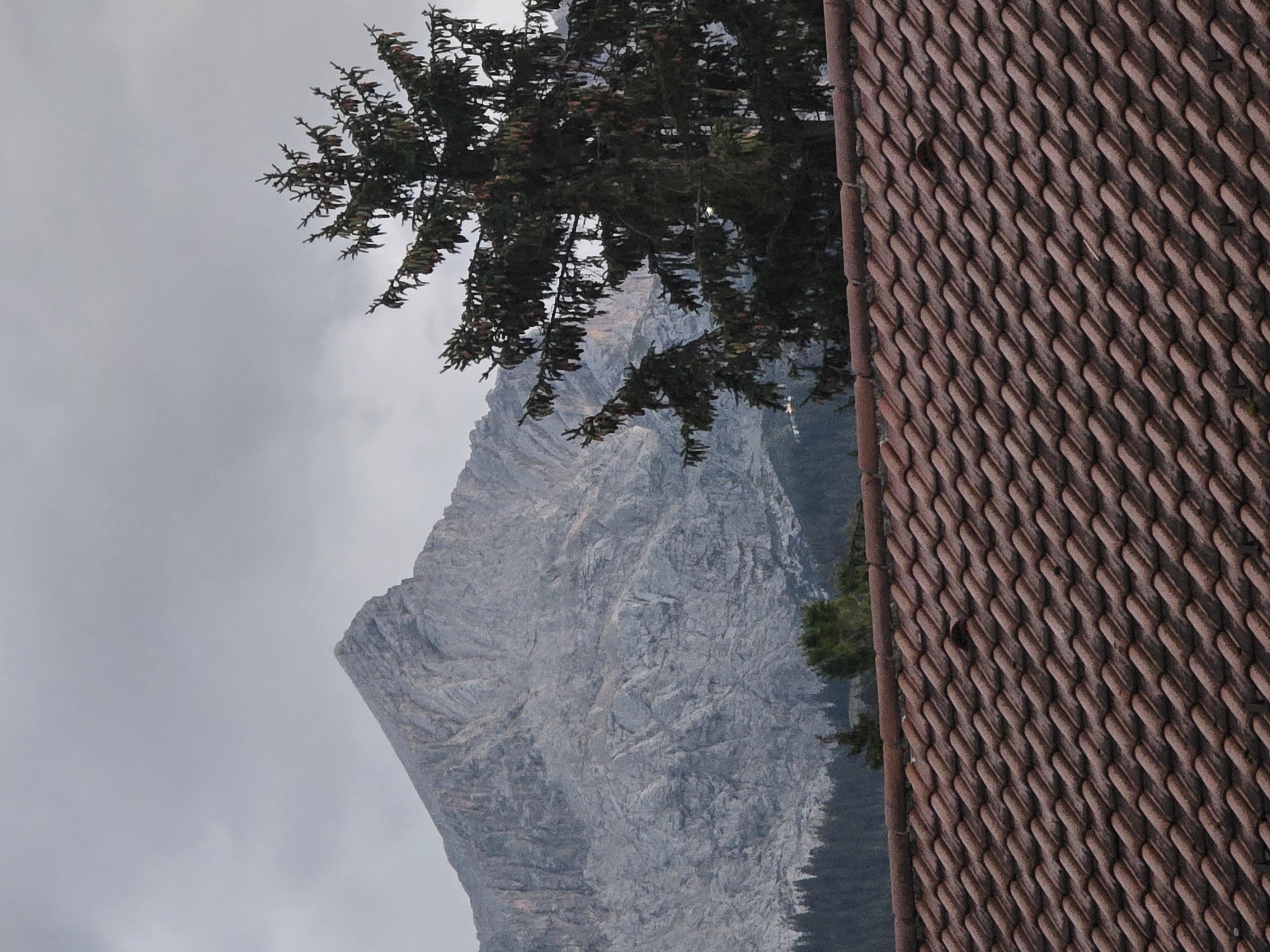 The image depicts a mountainous landscape under a cloudy sky, with a foreground featuring a tiled roof. In the background, a jagged, grey mountain peak dominates the scene. A large evergreen tree with numerous cones stands to the right of the mountain. Below the mountain, a dense forest of dark green trees is visible. The roof in the foreground is covered with reddish-brown ceramic tiles arranged in a repeating pattern. The overall impression is one of a natural, somewhat overcast environment, possibly near a settlement given the presence of the roof. The location is stated to be Garmisch-Partenkirchen, Germany. There are no people or animals visible in the image.