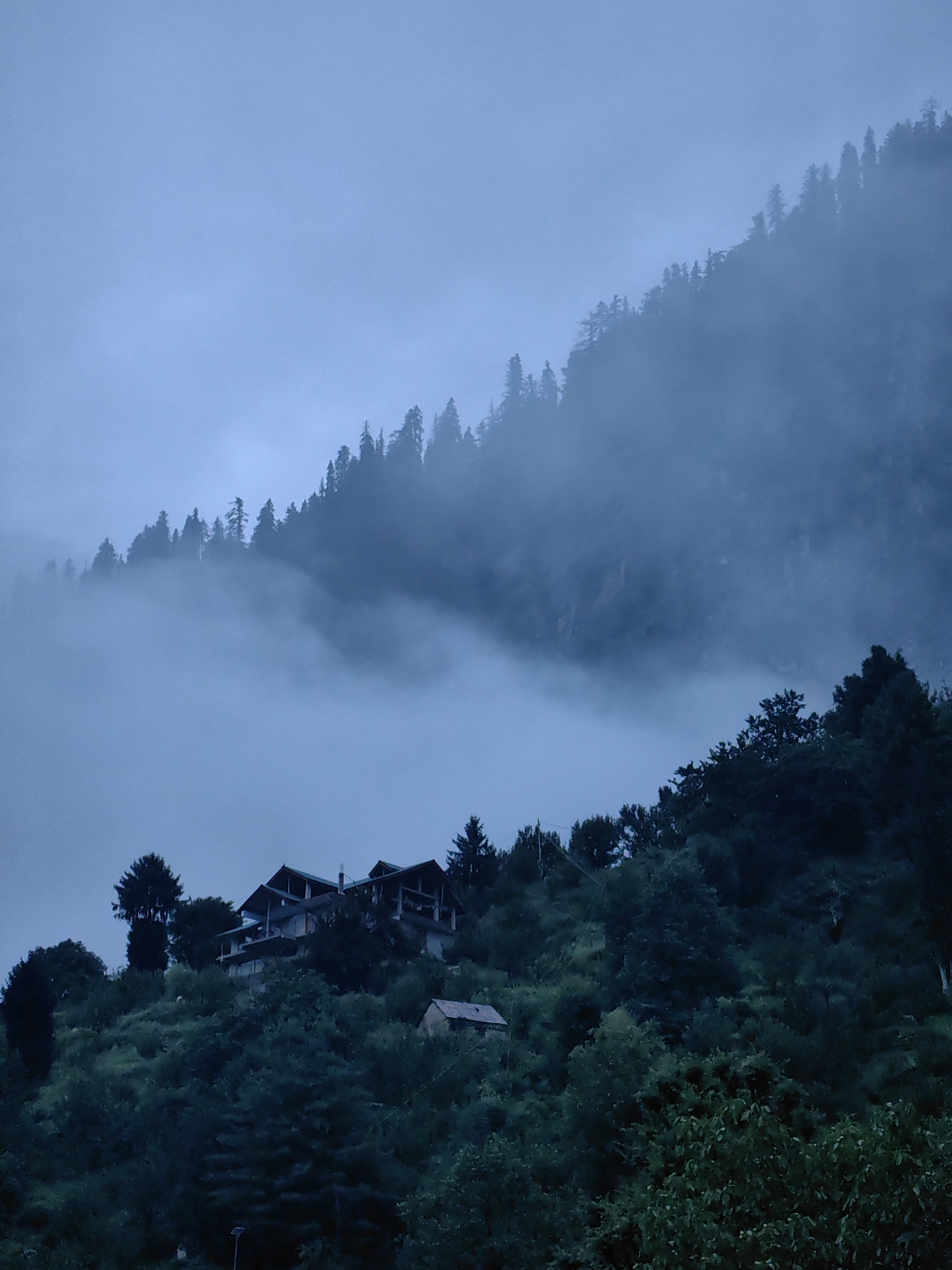A fog-laden mountainous landscape is captured in this low-light, twilight scene, likely in or near Vashisht, India. A dense forest blankets the steep incline of a mountain, its upper reaches disappearing into thick, swirling mist. Silhouetted evergreen trees, characteristic of a mountain environment, punctuate the skyline, their sharp peaks barely visible through the atmospheric haze.
Perched on the mid-slope of the mountain is a multi-story building, appearing to be under construction or renovation. Its unfinished state is evident, with exposed structural elements and a raw, unfinished facade. The building is surrounded by lush green vegetation, suggesting a temperate climate. Further down the slope, a smaller, rustic structure with a dark roof is nestled amongst the trees, adding a sense of human habitation to the otherwise wild landscape.
The foreground is dominated by a dense growth of trees and foliage, obscuring the ground level. The overall color palette is muted, with shades of dark green, grey, and a hazy blue sky, typical of dusk or dawn in a misty mountainous region. No people or animals are visible in the frame. The image conveys a sense of solitude and the raw beauty of a mountain environment shrouded in fog.