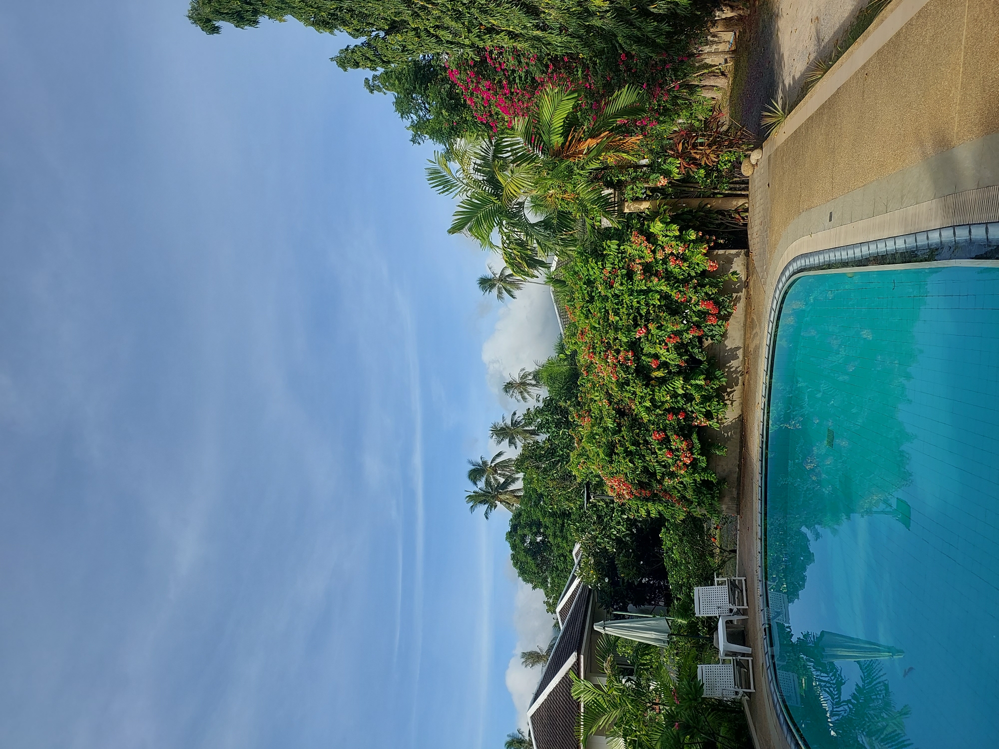 A poolside scene is captured in Baan Mae Nam, Thailand, on a bright, clear day. A large, turquoise swimming pool dominates the foreground, its water reflecting the surrounding greenery and the sky. The pool area is bordered by a textured, sandy-colored walkway. To the left of the pool, two white lounge chairs and a small white table are positioned near a white umbrella, suggesting a place for relaxation.
Behind the pool area, lush vegetation forms a vibrant backdrop. Numerous trees, including palm trees, are visible, interspersed with dense green foliage and flowering bushes adorned with red and pink blossoms. In the middle ground, white-roofed structures with dark tiled roofs, typical of local architecture, are partially obscured by the foliage. A tall, slender evergreen tree stands prominently on the far right side of the image. The sky above is a clear blue, with wispy white clouds scattered across it, indicating fair weather. The overall impression is one of a tranquil tropical resort or private residence.