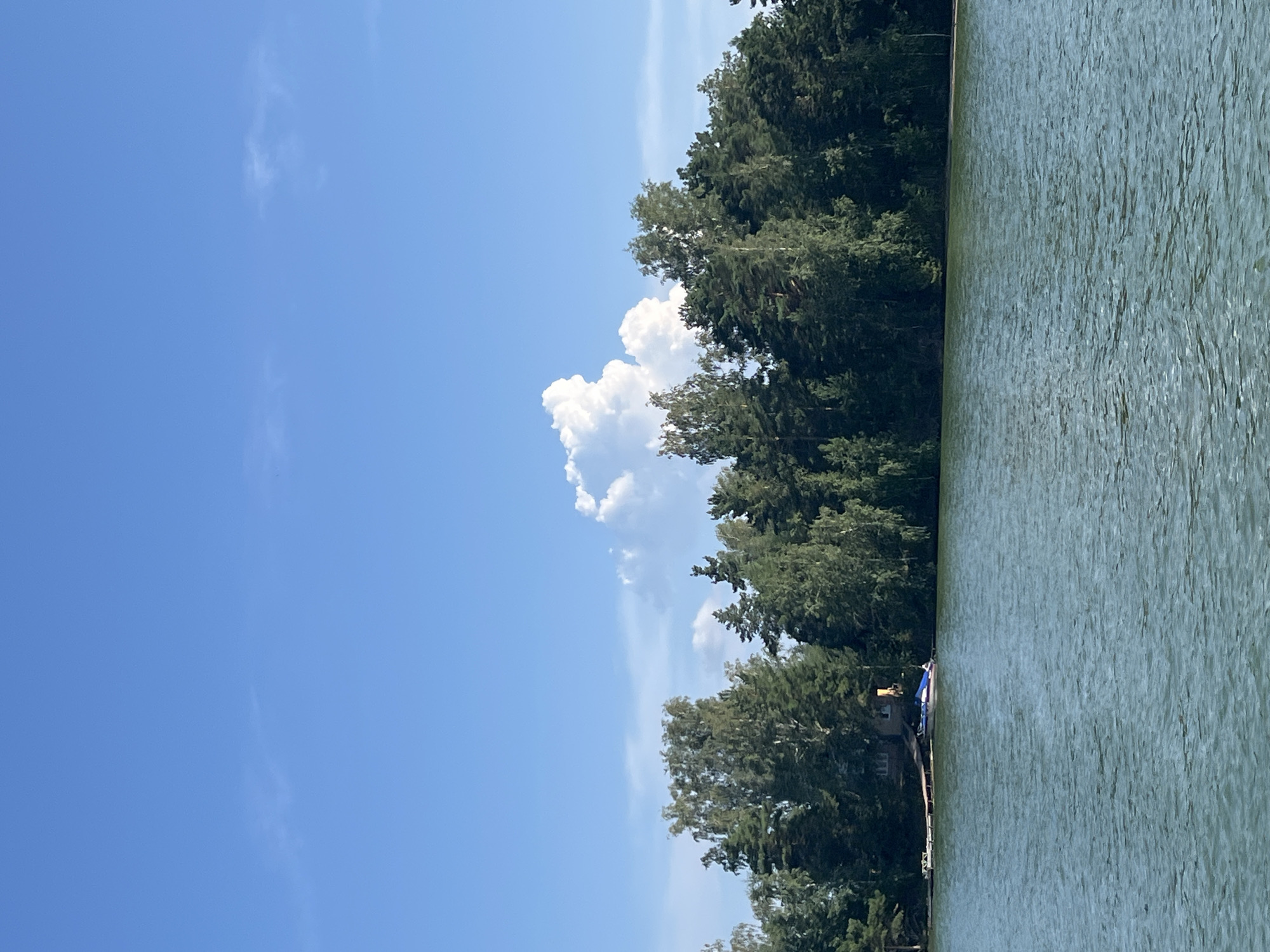 A wide shot captures a serene lake scene under a bright blue sky with scattered white clouds. The foreground is dominated by the tranquil, slightly rippled surface of the lake, its water a muted green hue. Along the far bank, a dense line of lush green trees forms a natural barrier, with various species of deciduous and coniferous trees creating a varied texture. Peeking through the foliage on the left side of the frame is a small building, possibly a house, with a reddish-brown roof. Adjacent to the building, a wooden pier extends a short distance into the water. Moored to the pier is a small boat, covered with a blue tarp. The overall impression is one of natural beauty and peacefulness, suggesting a remote or recreational location.