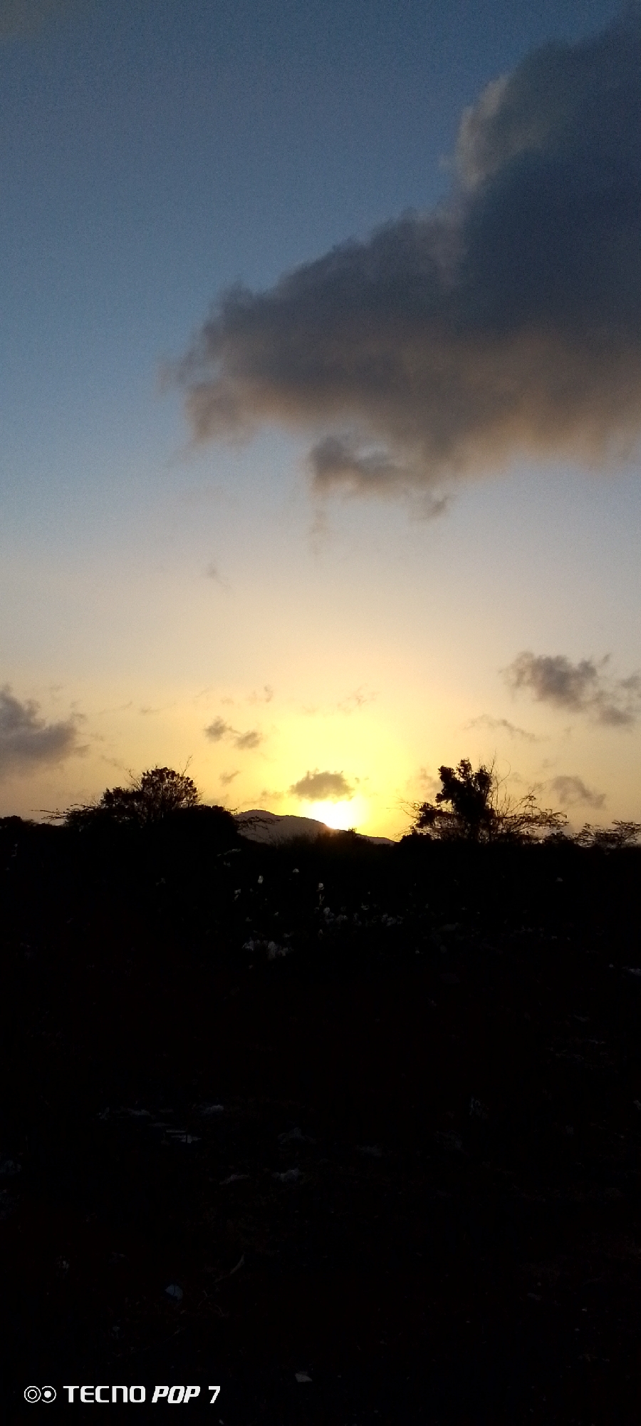 The image shows a landscape at sunset or sunrise. The sky transitions from a light blue to a golden yellow near the horizon, with some grey clouds scattered throughout. The sun is either rising or setting behind a hill or mountain, its light partially obscured. The foreground features silhouetted trees and foliage, suggesting a natural environment. The bottom of the image is very dark. At the bottom-left corner is the watermark of the "Tecno Pop 7" phone. The location is Altagracia, Venezuela.