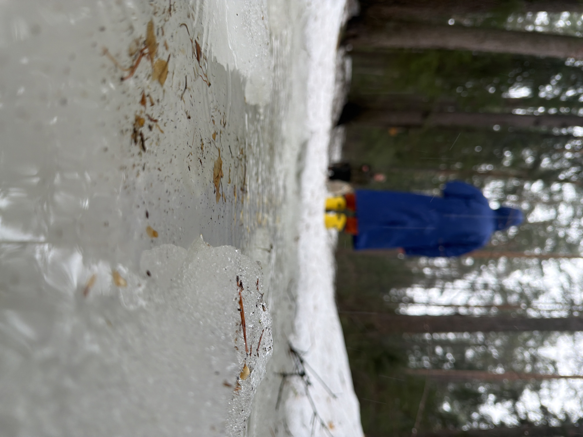 The image shows a snowbank in Chaikovsky, Russia, with a person wearing a blue coat and yellow boots standing in the background near a forest. The foreground is dominated by a close-up view of the snowbank, showing details like embedded leaves and debris.