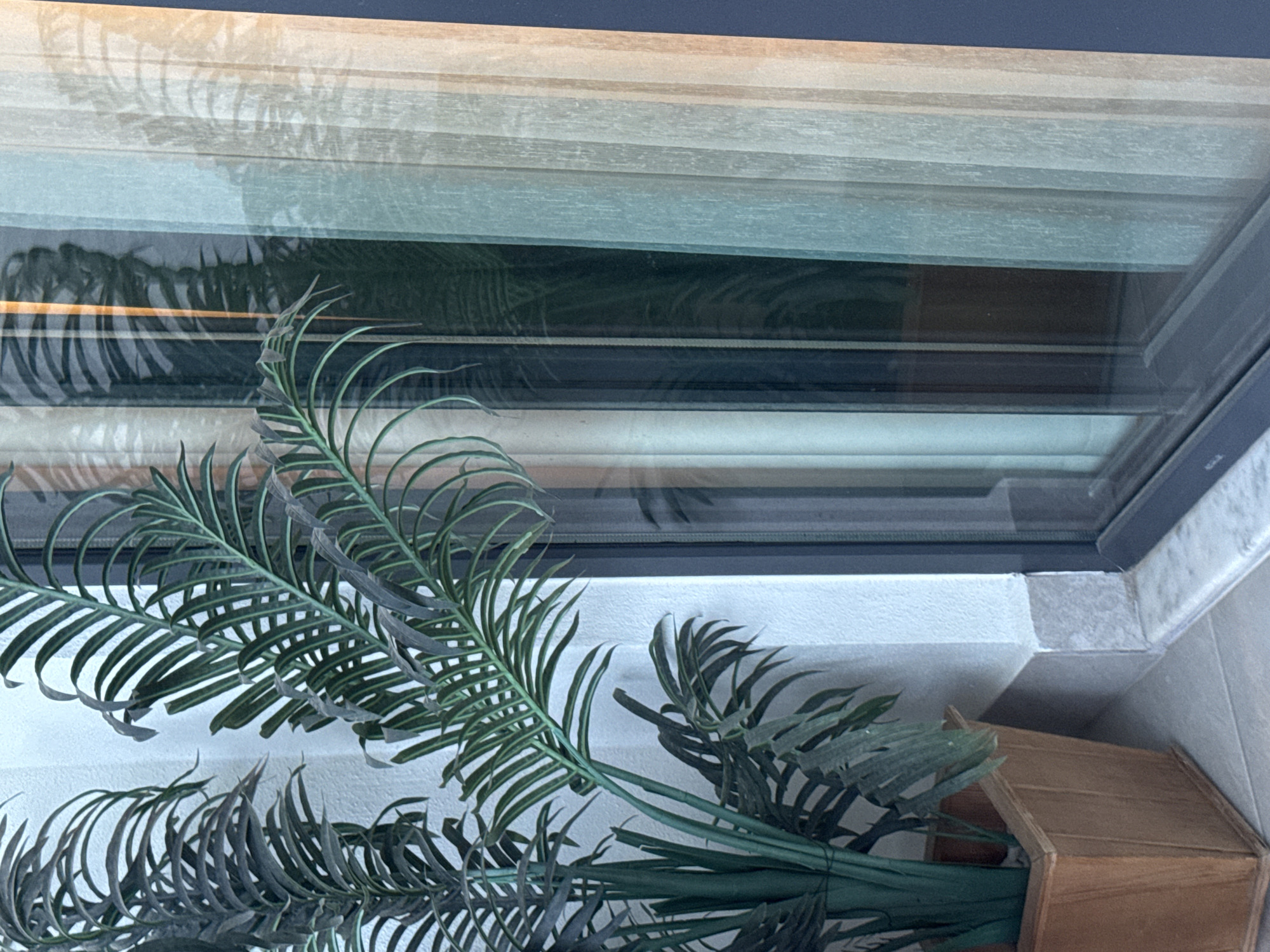 A faux palm tree in a wooden pot sits against a white wall under a window. The window has closed blinds, and the scene is viewed from a high angle. The location is Unknown, Unknown.
