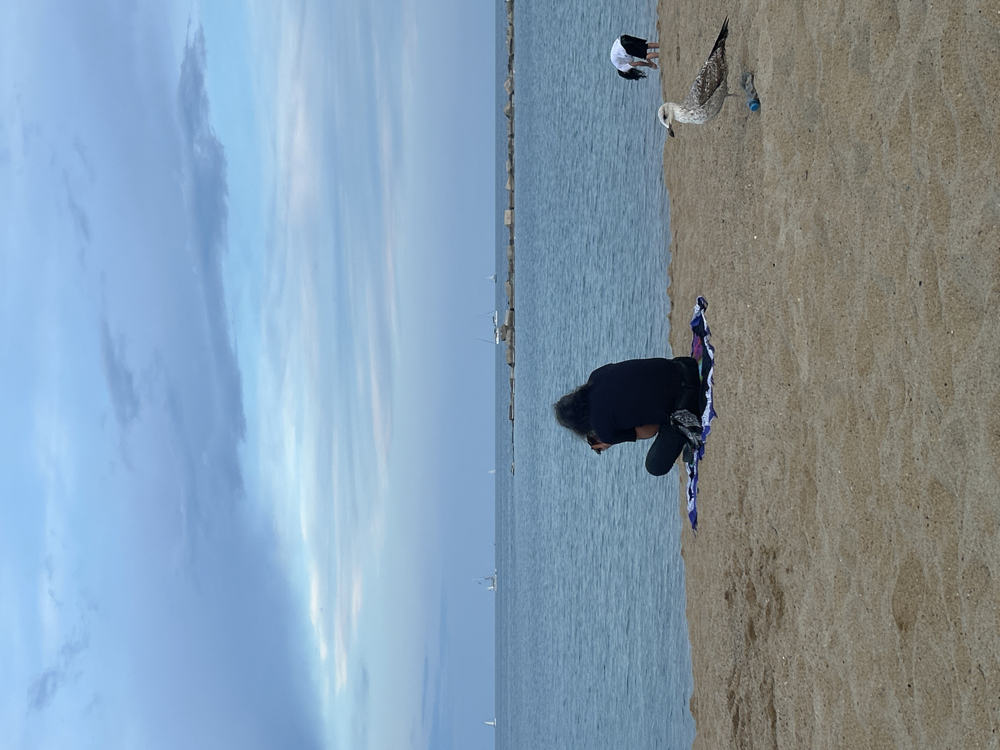 The image shows a beach scene. A woman in black is squatting on a colorful beach towel on the sand, appearing to take a photo with her phone. Nearby, a seagull stands on the sand next to a blue object. In the distance, a person in white bends over near the water's edge. The sea stretches out with a breakwater of large rocks visible. Several sailboats are visible in the distance on the sea. The sky is filled with clouds. Based on the style of breakwater and the beach texture, this image may be of a beach in Barcelona, Spain.