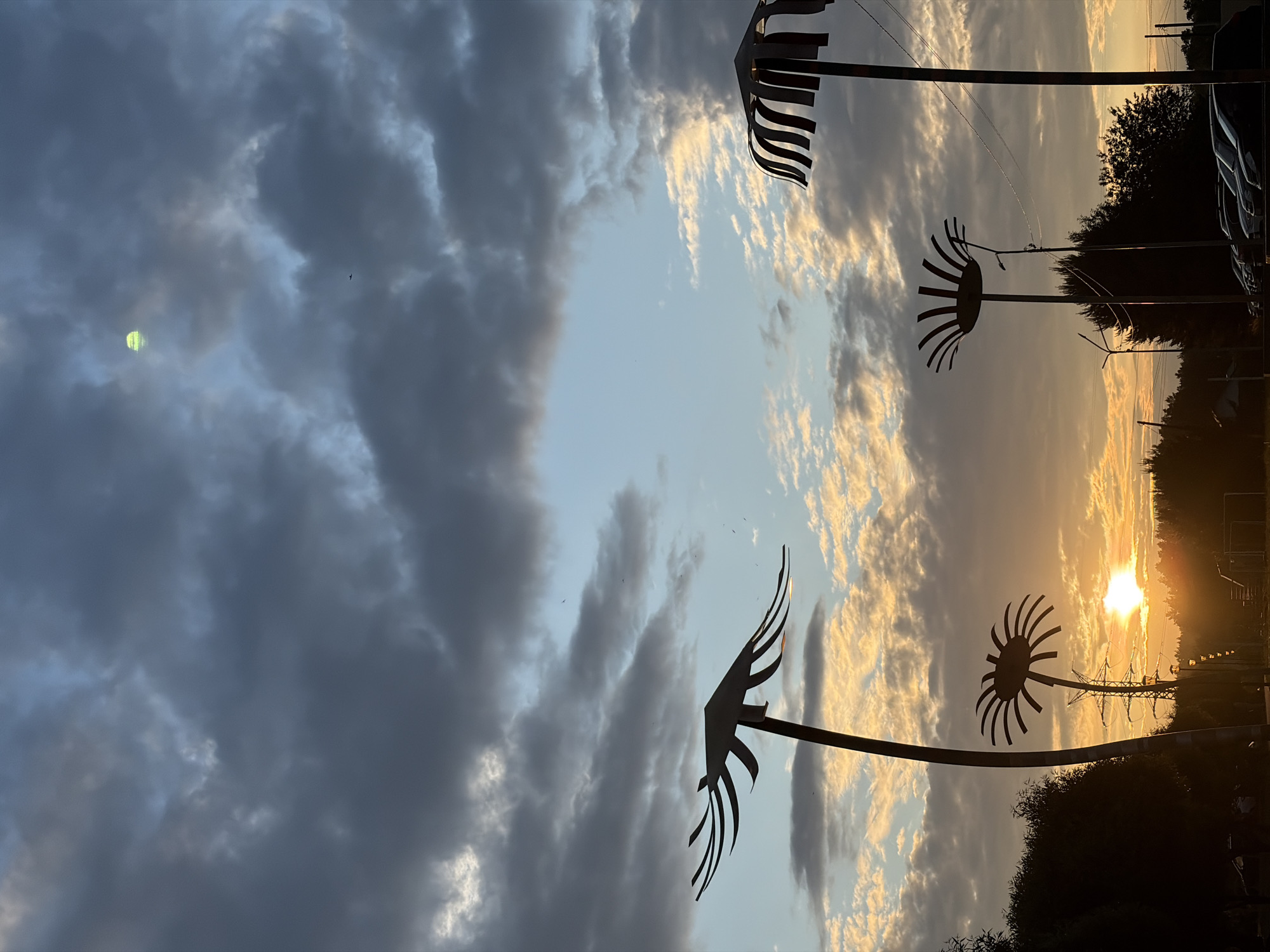 This photograph, taken at sunset in Chaikovsky, Russia, features a dramatic sky filled with a mix of dark, textured clouds and lighter, illuminated clouds. The sun, a brilliant orange disc, is low on the horizon, casting a warm glow and silhouetting a line of trees and various structures. Prominently featured are several large, stylized metal sculptures resembling flowers or abstract sunbursts, silhouetted against the sky. One sculpture on the left is tall and slender with thin, radiating petals. Another, closer to the center, is smaller and more compact, also with petal-like protrusions. To the right, another similar sculpture, partially cropped, echoes the design. In the background, power lines and utility poles are visible, along with a darker line of trees and foliage. The bottom of the frame shows a parking lot with several cars. The overall impression is one of an urban or semi-urban landscape at dusk, enhanced by the striking silhouette art against a dynamic sky.