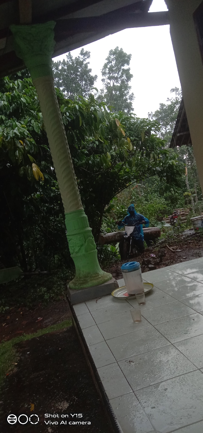This image depicts an outdoor scene in Ranugedang, Indonesia, under overcast, wet conditions, likely during or immediately after rainfall.
In the immediate foreground, a light green, fluted pillar with a darker green, ornately carved base stands prominently on the left, supporting an overhead structure. To the right, a tiled floor, light gray or white, is visibly wet with water droplets. On this tiled surface, a white and blue plastic water dispenser rests on a round, white enamel plate with a floral pattern. Two empty, clear drinking glasses are also on the tiles; one upright near the dispenser, the other angled further right.
The midground features dense, green tropical foliage, possibly coffee plants, with some yellowing leaves visible. Beyond the tiled area, a muddy, unpaved ground extends into the vegetation. A person, fully covered in a blue hooded raincoat, is seated on a light-colored motorcycle, which faces slightly left on the muddy ground. To the right of the person, a rustic wooden structure with an A-frame roof and a pile of logs are partially visible.
The background shows tall, dense green trees against a uniform, bright overcast sky, indicating daytime with heavy cloud cover. The overall environment is lush and appears rural or semi-rural, characterized by heavy vegetation and visible signs of recent precipitation.