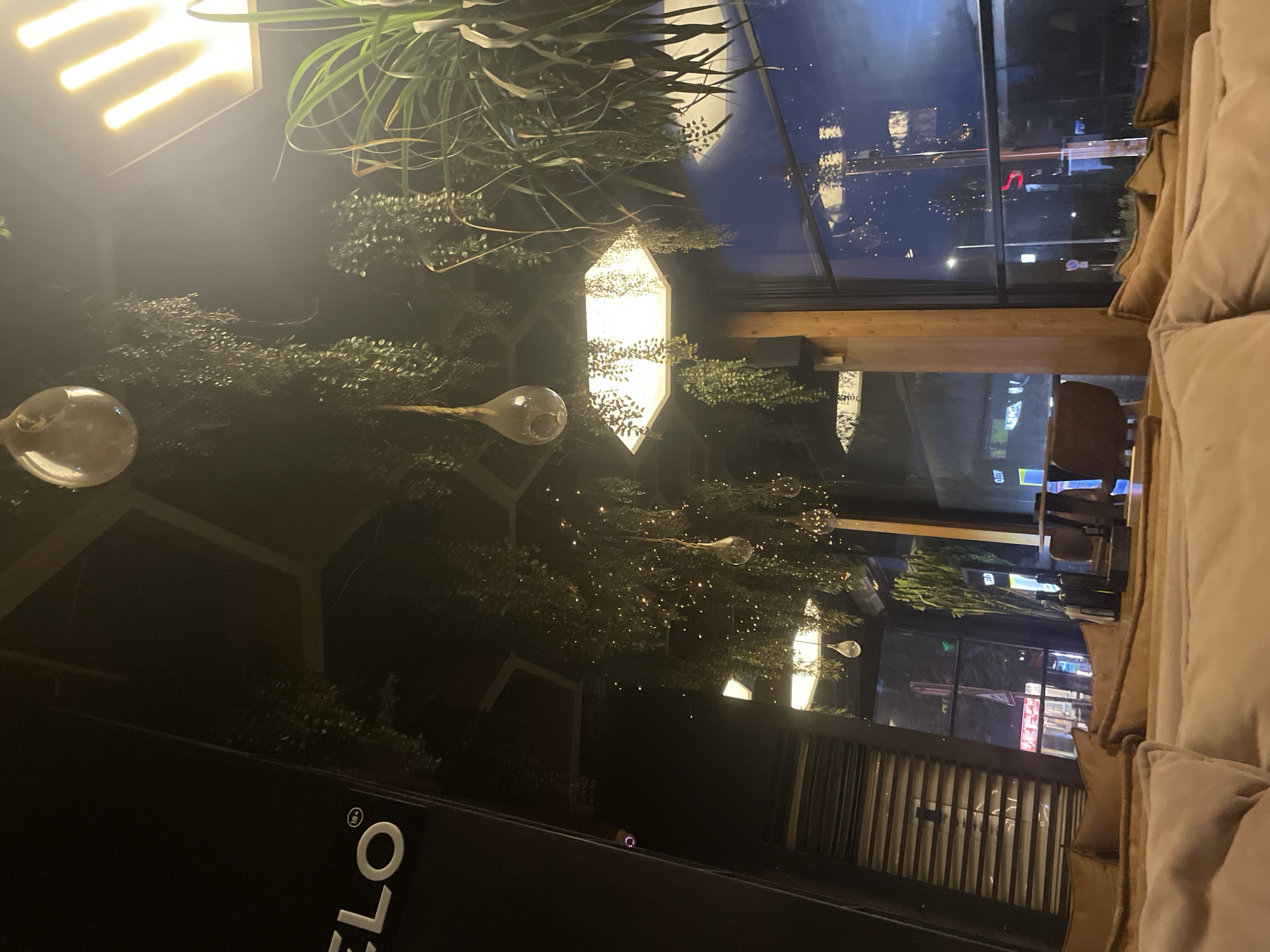 The image captures an interior scene at a restaurant in Sofia, Bulgaria. The restaurant appears to be modern and stylish, featuring decorative plants hanging from the ceiling along with hanging light bulb fixtures. Windows offer a view of the city street at night. There is a sofa with cushions visible on the right. A sign with "ELO" printed on it is also visible on the left side of the image. A variety of chairs can be seen through the window.