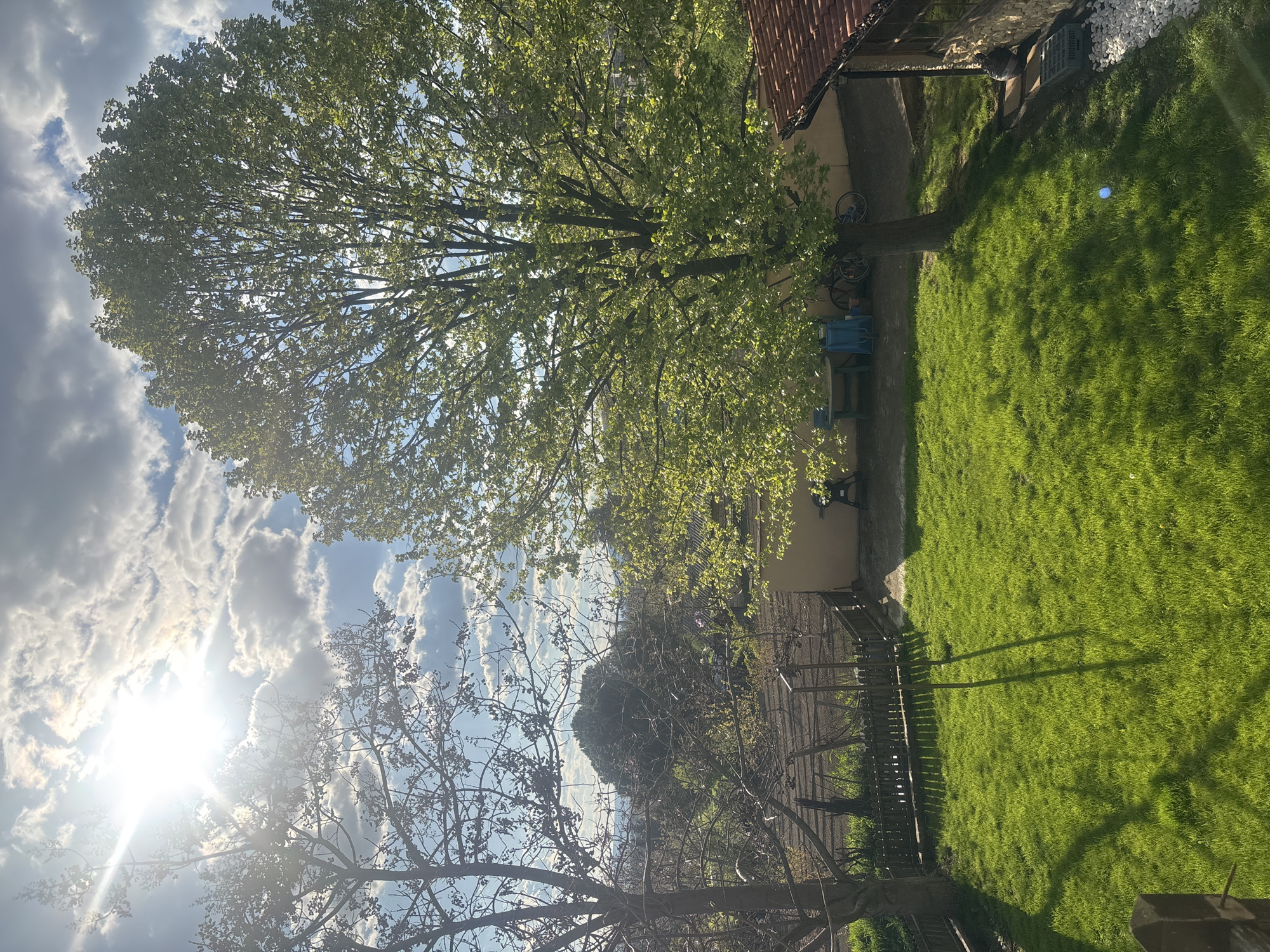 This image captures a vibrant, sunlit backyard or garden scene in Goritsa, Bulgaria, viewed from a slightly elevated perspective. The overall impression is one of peaceful natural beauty on a clear day.
The foreground and middle ground are dominated by lush, bright green grass, meticulously maintained and bathed in strong sunlight. Shadows, likely cast by unseen structures or trees, stretch across the lawn, indicating a bright late morning or early afternoon. To the left, a large, mature deciduous tree, abundant with fresh, vibrant green leaves, stands prominently, its canopy extending towards the top of the frame. Sunlight filters through its foliage, creating a beautiful play of light and shade.
In the upper right, part of a building with a traditional red-tiled roof and light-colored walls is visible, suggesting a house or an outbuilding. Near the base of the large tree and adjacent to the building, several objects are placed: two bicycles lean against the tree trunk, a blue plastic crate, and a small dark outdoor table. A section of white decorative pebbles is also visible on the ground near the building and a dark wooden fence that runs across the middle ground.
In the lower left, another tree with intricate, mostly bare branches frames the sky, though some new leaves might be emerging. The sky above is a mix of clear blue and fluffy white and grey clouds. A powerful sunflare emanates from the upper left corner, emphasizing the bright, intense sunlight illuminating the entire scene.
No people are visible in the image, and there is no discernible text. The scene conveys a sense of tranquility and an inviting outdoor space, likely well-used but currently still.