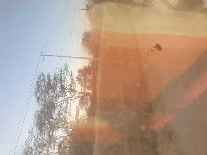 A rural landscape with bare trees and a power line stretching across a blue sky. A road borders the trees. The view appears to be through a window with reflections and orange tinting. A brown spot is visible on the surface of the window. The scene seems hazy due to the reflections.