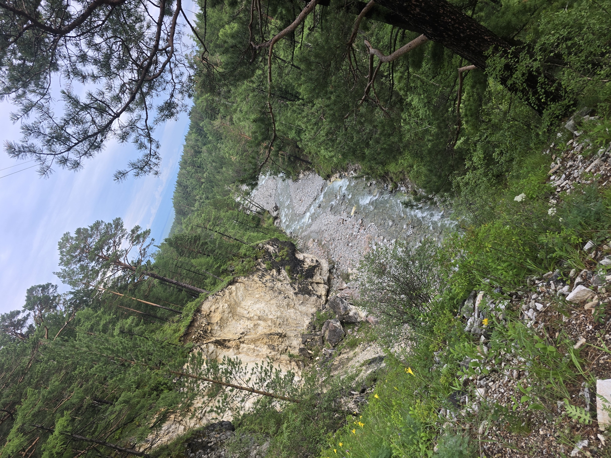 The image depicts a natural landscape, likely within the vicinity of Arshan, Russia. A rugged, steep cliff face made of light-colored rock, possibly limestone or sandstone, dominates the left side of the frame. The cliff shows signs of erosion, with visible layers and debris scattered at its base. Lush green vegetation, including trees and shrubs, clings to the cliff and the surrounding slopes.
A clear, fast-flowing river runs through a rocky valley in the center and right portions of the image. The riverbed is composed of smooth, grey stones and pebbles. The valley is densely forested with pine trees, their green foliage creating a thick canopy. The branches of a large pine tree extend into the foreground from the upper right corner, partially obscuring the view of the sky. The sky above is a soft blue with scattered white clouds, suggesting a temperate climate. The scene is devoid of any human presence or activity.