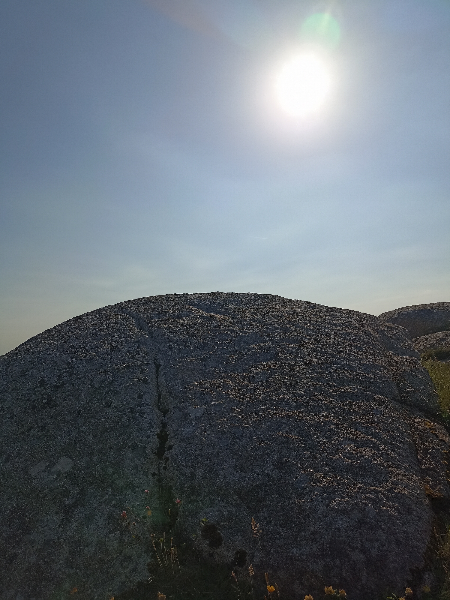 A wide-angle, low-angle shot captures a bright sun in the upper right corner of a clear blue sky. Below the sky, a large, textured granite boulder dominates the foreground, its surface appearing rough and speckled. A dark, thin crack runs down the center of the boulder. The base of the boulder is surrounded by dry grass and a few small, delicate wildflowers. To the right, another, less prominent boulder is visible, partially obscured by vegetation. The overall scene suggests an outdoor, natural environment, possibly a rocky outcrop or hillside. There are no people or animals present. The location is specified as Carnboy, Ireland.
