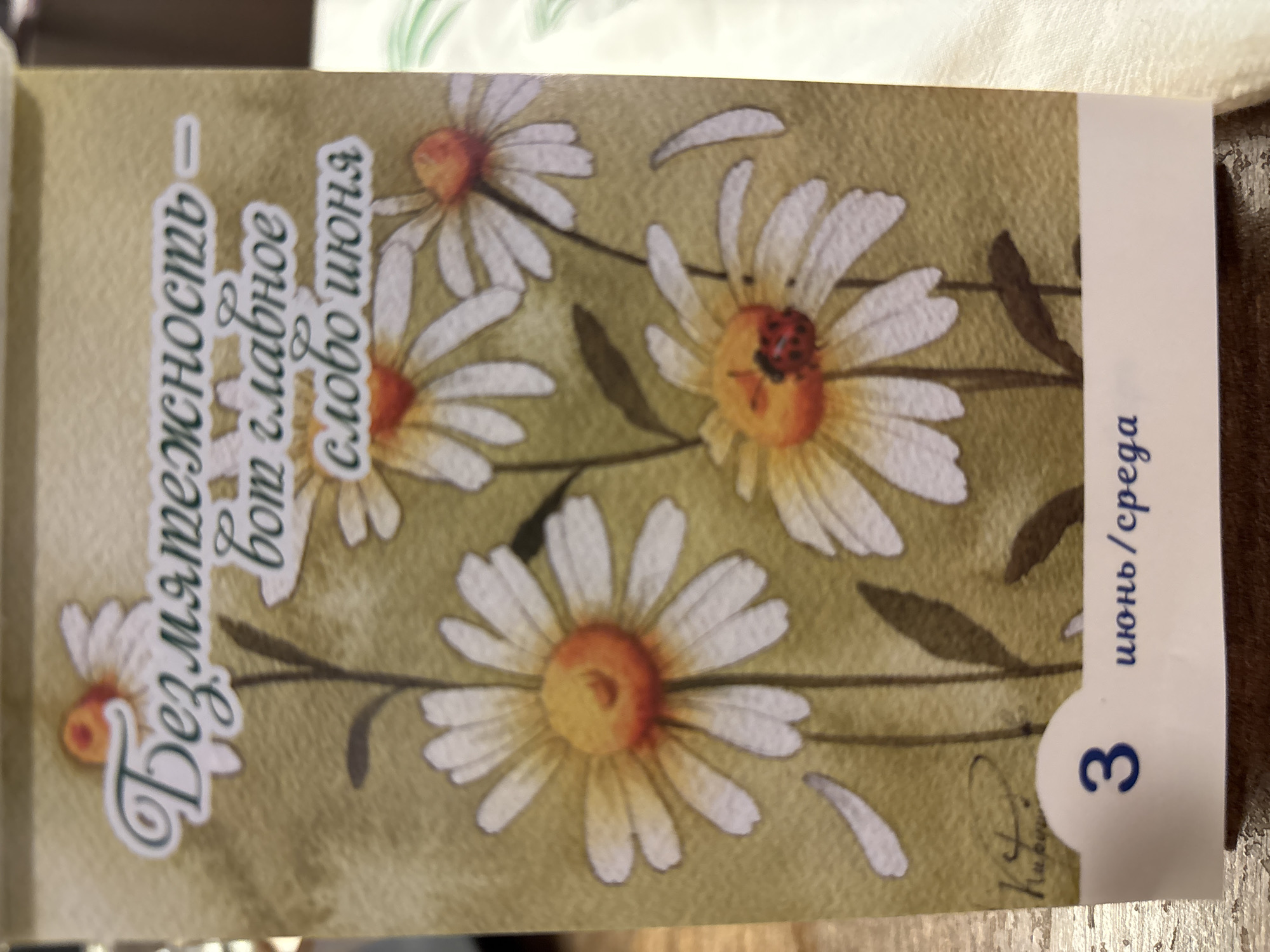 The image displays a vertically oriented greeting card or a page from a calendar or diary, featuring a watercolor-style illustration of daisies against a textured, light greenish-brown background. Multiple daisy flowers are depicted, some in full bloom and others partially visible. One prominent daisy in the upper right part of the image has a red ladybug resting on its yellow-orange center. Green leaves and stems intertwine with the flowers, adding to the natural motif. The artistic style lends a soft, serene quality to the scene.
On the left side of the card, rotated clockwise, is the text in Cyrillic: "Безмятежность — вот главное слово июня", which translates to "Serenity — that's the main word of June."
On the right side, rotated clockwise, there is a white strip with a dark blue number "3" and the text "июнь / среда", which translates to "June / Wednesday". This suggests the page is for the 3rd of June, which falls on a Wednesday.
In the bottom right corner of the illustration, a faint signature is visible, possibly "Кузьменко" or a similar Russian name. The overall mood of the image is peaceful and evocative of summer.