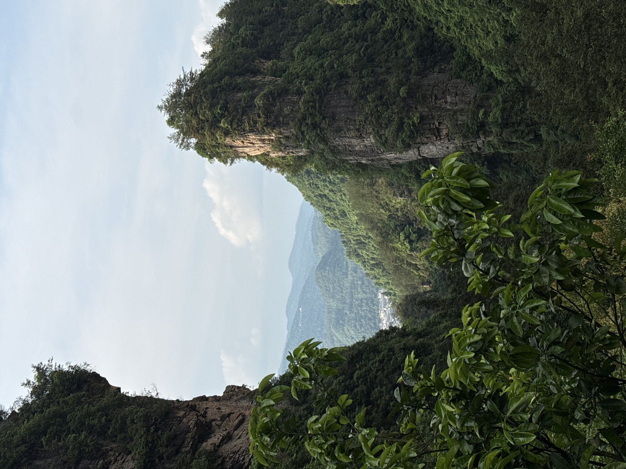 The image shows a view within the Wulingyuan Scenic Area in Zhangjiajie, Hunan, China. The shot is oriented upwards, revealing two prominent, steep cliffs covered in dense green vegetation. The cliff on the left exhibits layered rock formations, while the cliff on the right is mainly covered with lush greenery. Between the cliffs, there is a view into a valley with distant, misty mountains. A small village or settlement is visible in the valley below. In the foreground, green foliage partially obscures the view. The sky above is light blue with scattered clouds.