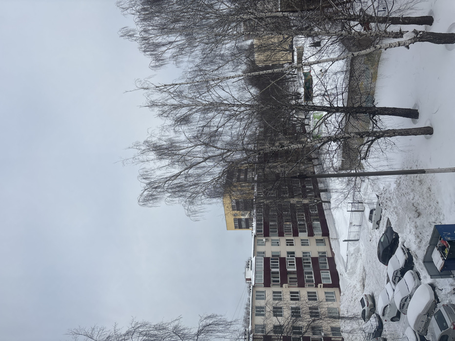 The image displays a snow-covered urban residential environment in Nizhnekamsk, Russia, under an overcast, light grey sky. In the foreground on the right, several tall, deciduous birch trees with bare, slender branches rise from a thick layer of snow covering the ground. To the left of the trees, a residential courtyard is heavily blanketed in snow, containing approximately ten parked vehicles, many of which are partially obscured by snow accumulation. A blue, open-top refuse dumpster is visible in the lower left quadrant. Behind the courtyard and vehicles, a five-story residential building with alternating light-colored and dark red-brown facade panels, numerous windows, and enclosed balconies stands prominently. A narrow, cleared pathway through the snow leads to a dark metal gate positioned in front of the building. In the background, a taller, multi-story building with a yellowish-brown exterior is discernible behind the five-story structure. Additional bare trees and indistinct urban structures are visible further in the distance. No human figures, explicit actions, or interactions are present in the scene.