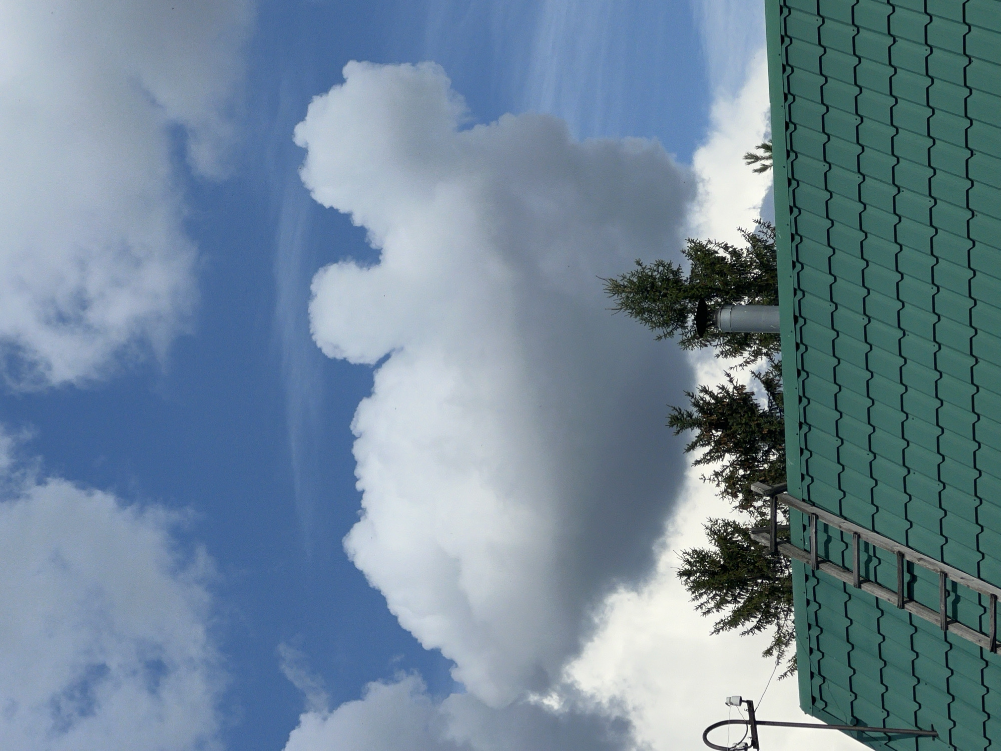 A wide, low-angle outdoor shot captures the green metal roof of a house in Mochishche, Russia. A wooden ladder is propped against the roof, leading upwards. Several evergreen trees are visible behind the roof, and a metal chimney pokes up from the trees. The sky above is a bright blue, dotted with large, fluffy white clouds. One cloud formation bears a striking resemblance to a cartoon character, possibly Mickey Mouse. A utility pole with electrical insulators and wiring is visible on the left side of the frame.