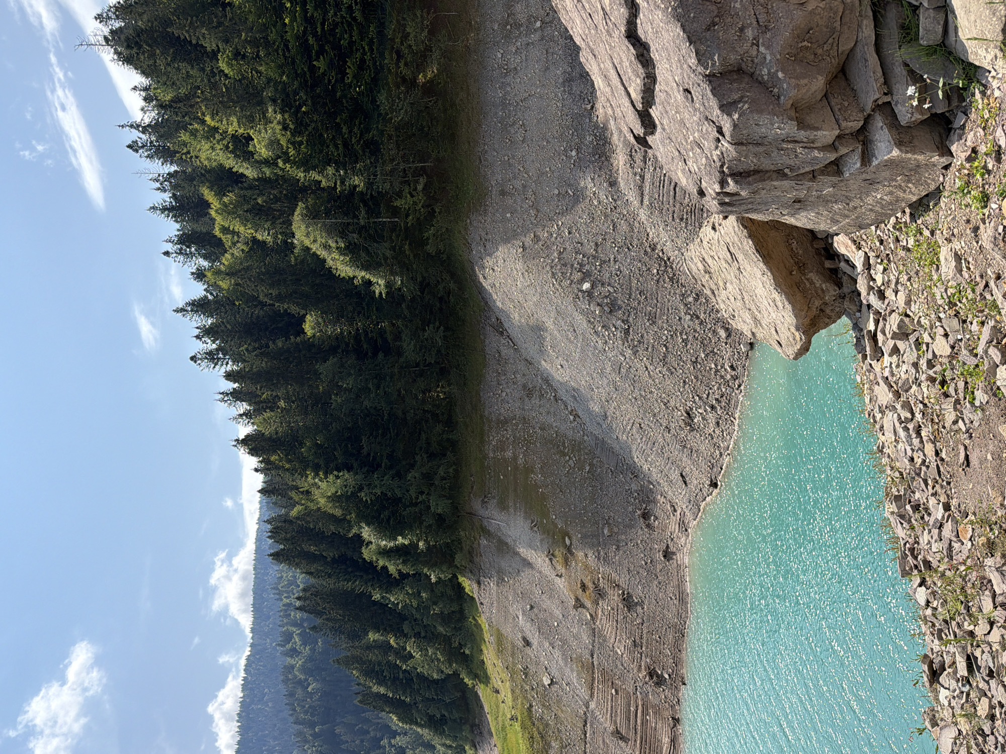The image depicts a natural landscape with a body of turquoise water in the foreground, bordered by a rocky, dry shoreline. Behind the shoreline, a steep, barren slope covered in gravel and smaller rocks rises sharply, showing distinct horizontal terraces that suggest a former waterline. At the top of this slope, a dense evergreen forest begins, with tall coniferous trees forming a thick canopy that extends up a mountain. The sky above is blue with scattered white clouds. In the immediate foreground, large, weathered rocks are prominent on the bank. The overall scene is one of a dry lakebed or reservoir, with the water level significantly receded, revealing the exposed banks and surrounding forest. There are no people or animals visible in the image.
