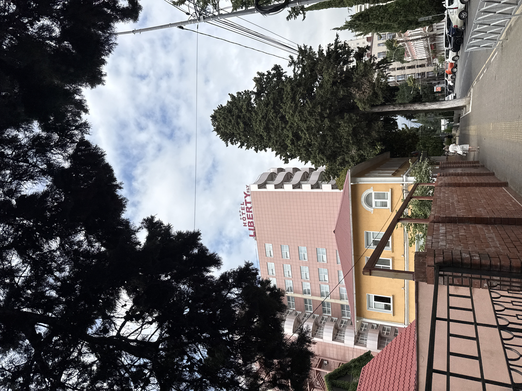 This is a street-level view in Sochi, Russia, on a cloudy day. A tall, slender tree dominates the center of the frame, with its branches reaching towards the sky. To the left, a large, pink hotel building with balconies and numerous windows is visible. A smaller, yellow building with a red roof is situated in front of it. A brick wall and a black metal fence run along the sidewalk in the foreground. A person in a white dress is walking away from the camera on the sidewalk. The street to the right is lined with parked cars, and more buildings are visible in the background. Overhead, power lines and a utility pole are present. The sky is partly cloudy.