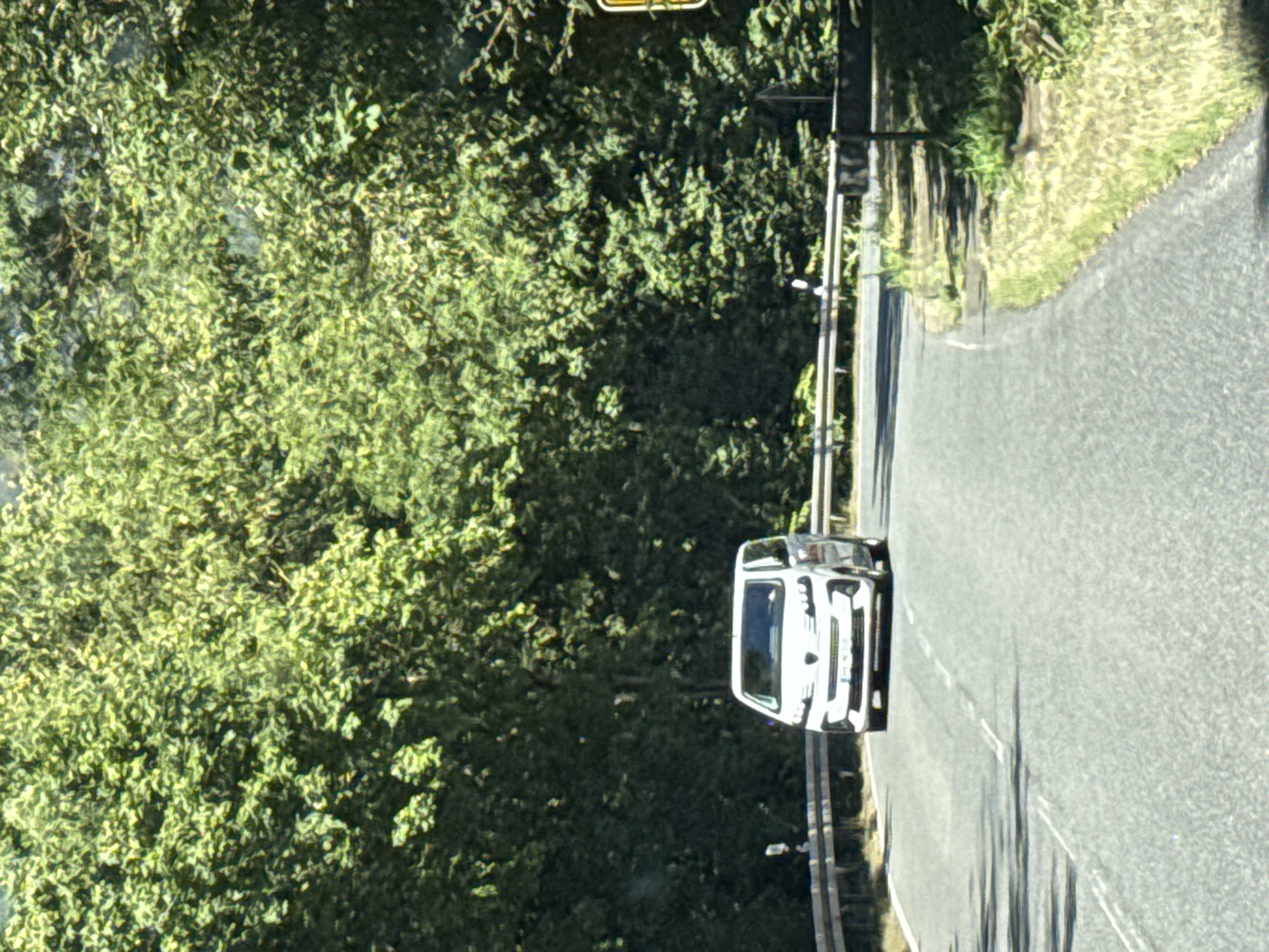 An eye-level, medium shot shows a white van traveling on a paved road, curving to the right. The van is in the left lane, and the road is marked with white dashed lines. The van's license plate is visible, reading "ES: ML 110M". To the left of the road, a metal guardrail runs along the edge. Beyond the guardrail, lush green trees and foliage form a dense wall. To the right of the road, there is a grassy verge with some sparse vegetation. The sky is not visible. The scene is set on a tree-lined road, possibly in or near Bad Lauterberg im Harz, Germany, given the context.
