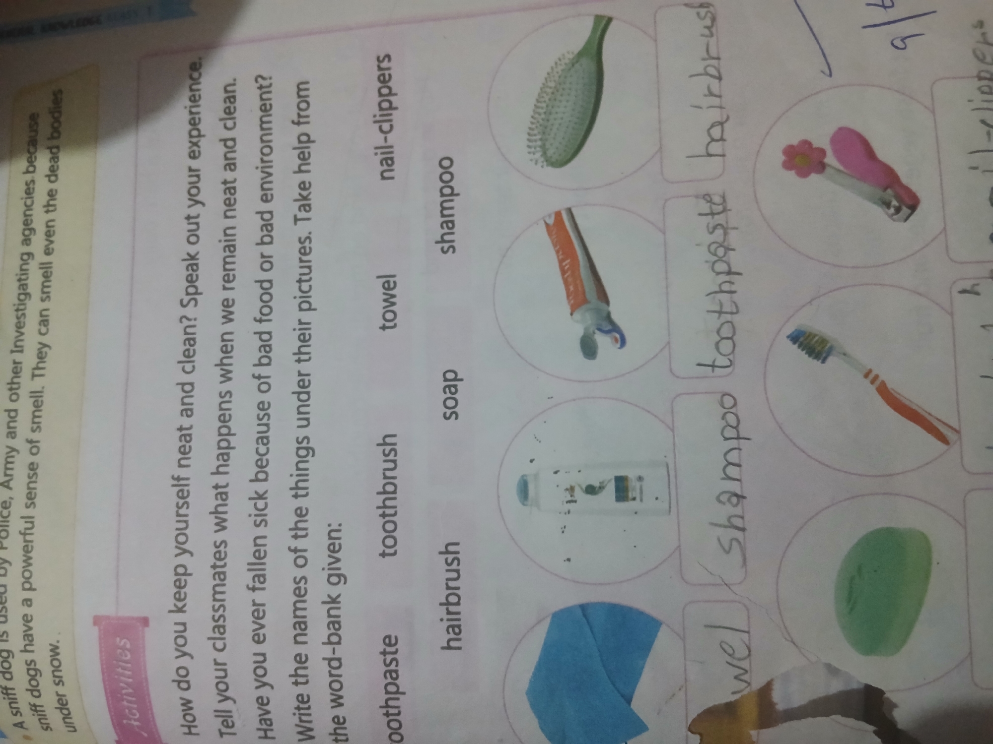 The image depicts a page from a workbook or educational material with text and illustrations related to hygiene and personal care.
The top section contains a paragraph about sniff dogs, followed by a heading "Activities". Underneath, there are questions about personal cleanliness and the consequences of poor hygiene. Below these questions, a word bank is presented with the following words: "toothpaste", "toothbrush", "hairbrush", "soap", "towel", "shampoo", and "nail-clippers".
The lower part of the image features a grid of circular illustrations, each depicting an item from the word bank. These illustrations include:
* A blue towel.
* A bottle of shampoo.
* A tube of toothpaste.
* A green hairbrush.
Below these illustrations are handwritten labels, presumably filled in by a student, matching some of the items to the pictures:
* "wel" (likely "towel")
* "shampoo"
* "toothpaste"
* "hairbrush"
Further illustrations with handwritten labels are partially visible at the bottom, showing a bar of green soap, a toothbrush, and nail clippers.
The image is a photograph of a page, likely from a textbook or worksheet, suggesting an educational context. There is no visible indication of location in Peshawar City Tehsil, Pakistan, or any specific environmental details beyond the white paper of the page itself. The scene is static and consists solely of printed and handwritten text and illustrations. There are no people or actions depicted.