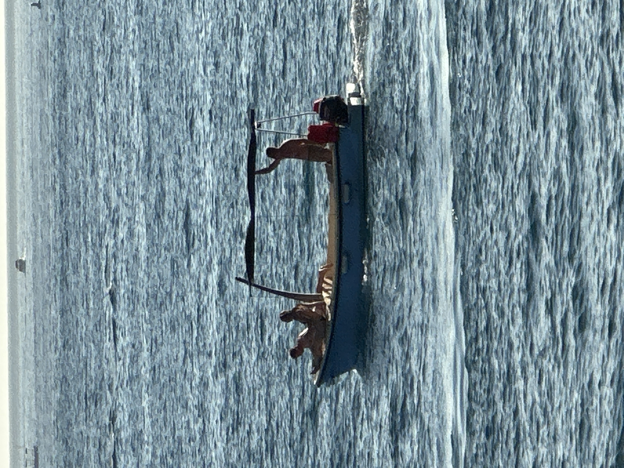 A small, blue motorboat with a dark canopy is cruising on choppy, blue water. Three individuals, appearing to be men, are on board. Two are seated in the front of the boat, one with arms resting on their legs and the other leaning back. A third man is standing towards the stern, holding onto the canopy support and looking away. He is shirtless and wearing light-colored shorts. There are two red containers and a black outboard motor mounted on the back of the boat, which is leaving a wake. The scene appears to be set on the Adriatic Sea, near Budva, Montenegro, given the distinctive blue hues of the water and the style of the boat and its occupants.