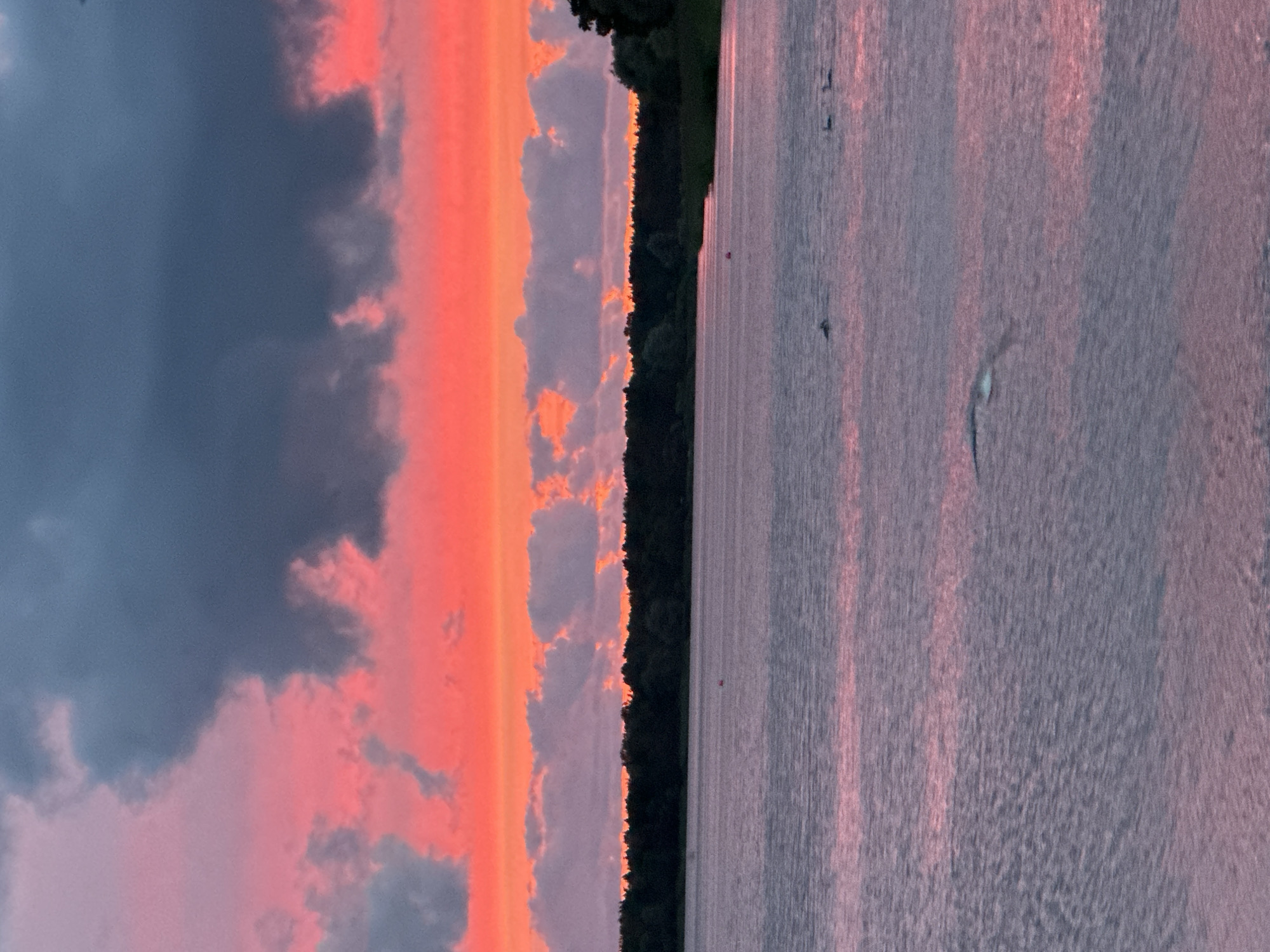 The image depicts a serene sunset over a body of water, likely a lake or bay, with a dense treeline in the background. The sky is a dramatic display of vibrant pink and orange hues, interspersed with dark, heavy clouds. The water reflects the colors of the sky, creating a soft, pinkish-purple sheen. A few buoys or markers are visible in the water, along with a couple of birds swimming. The overall atmosphere is tranquil and picturesque. The image does not contain any identifiable landmarks or specific features that would allow for precise location within Tallinn, Estonia.