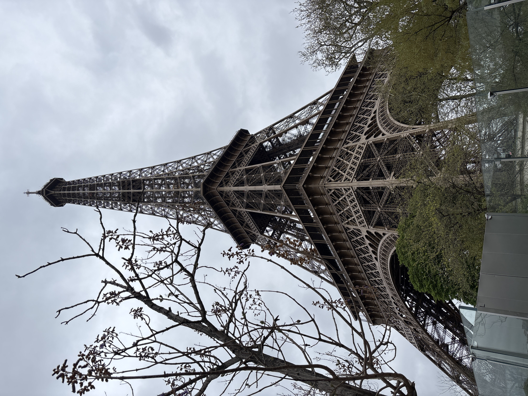 The image is a low-angle shot of the Eiffel Tower in Paris, France. The tower is constructed of metal lattice and stretches high into a cloudy sky. A bare tree branch with small buds is in the foreground on the left. The tower is partially obscured by green trees on the right. A glass structure is visible on the right side of the image.