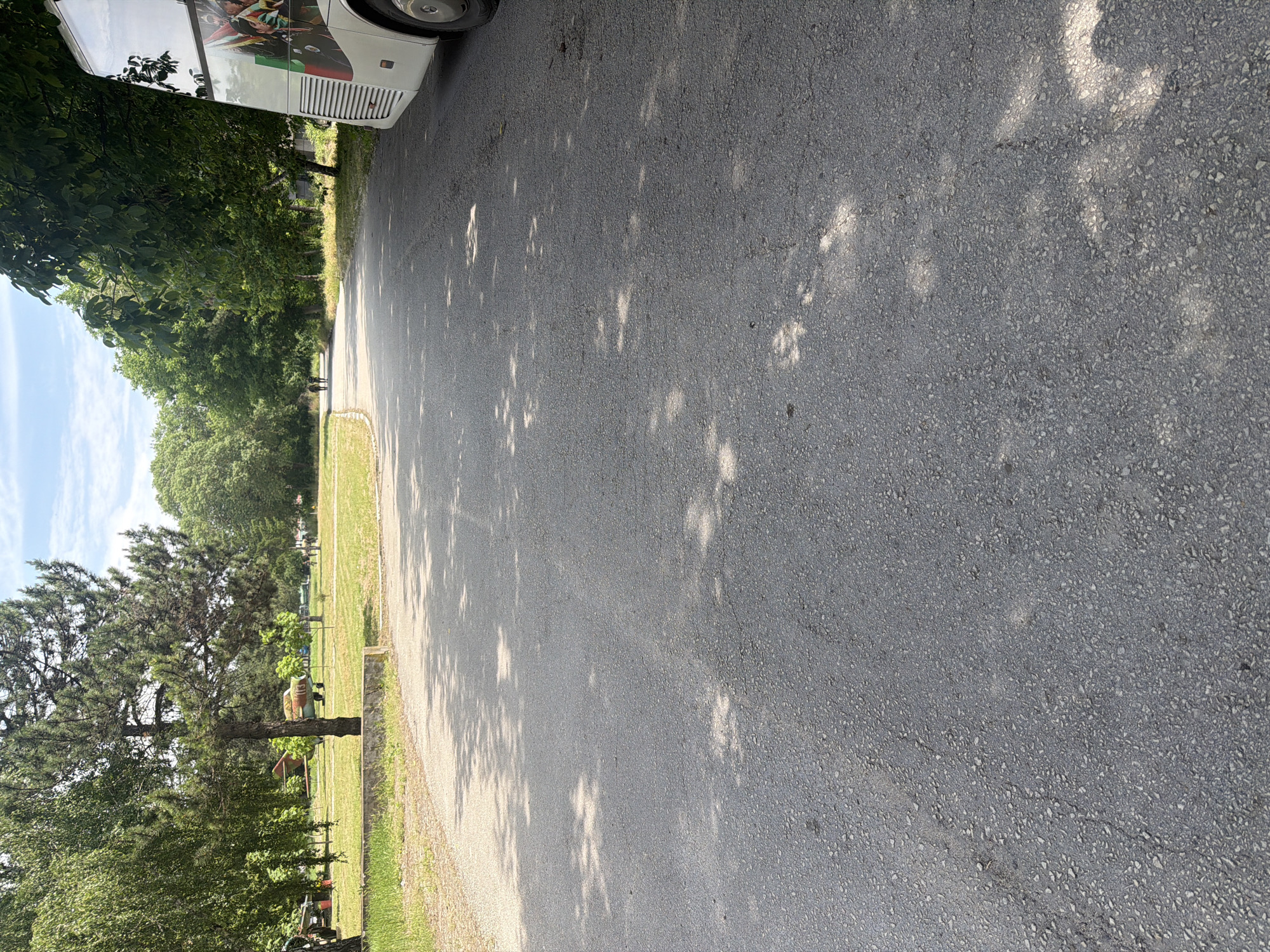 The scene is a road in Dolna Mitropolia, Bulgaria, lined with trees and greenery. The road surface is asphalt, marked with dappled shadows from the trees. A white bus with visible graphics and flags is parked on the left side of the road. In the distance, a grassy area with trees and possibly some structures is visible, suggesting a park or cemetery. The sky is partly cloudy.