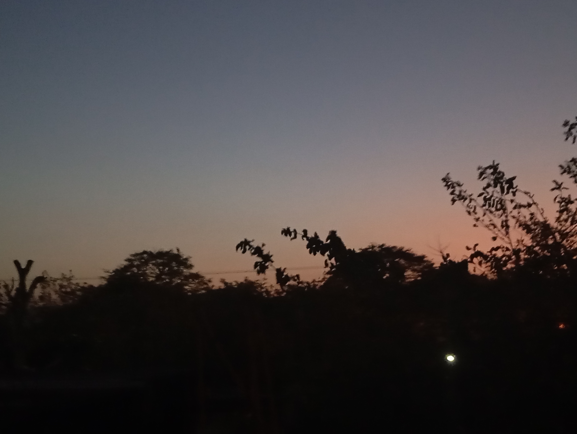 The image shows a view of the sky and trees at dusk in what is purported to be Juan Griego, Venezuela. The sky is a gradient, transitioning from a dark blue or gray at the top to a warmer orange or pink near the horizon. The trees are silhouetted against the sky, with the shapes of branches and leaves visible. A small point of light, possibly a streetlight or reflection, is visible near the bottom. The environment appears to be a natural area, with the trees forming a treeline. No people, specific actions, or interactions are evident.