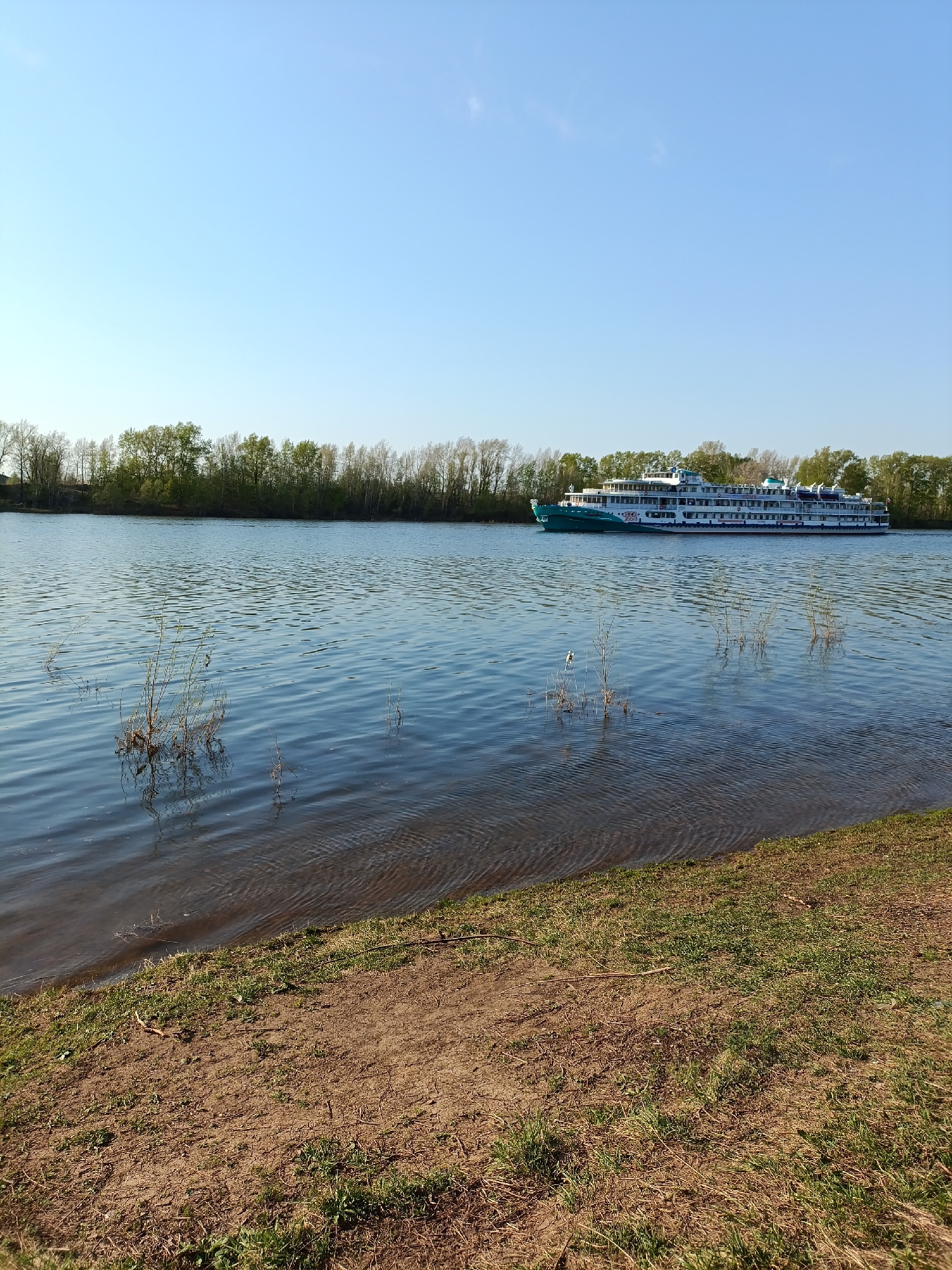 The scene depicts a wide river on a sunny day. On the right, a large, multi-decked cruise ship with green accents is moving across the water. The river reflects the blue sky and shows some surface texture. The foreground consists of a grassy and dirt shoreline. In the distance, a line of trees borders the river. The location is likely the city of Chaikovsky, Russia. There are no people visible in the image.