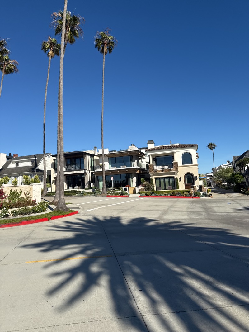 The image shows a sunny street scene in Newport Beach, California, United States. The street is paved with concrete and marked with a yellow line. Palm trees line the left side of the street, casting long shadows on the road. Several modern-style houses stand behind the palm trees, with a mix of flat roofs, large windows, and balconies. The houses are framed by landscaping with red-trimmed edges. The sky is clear and blue.