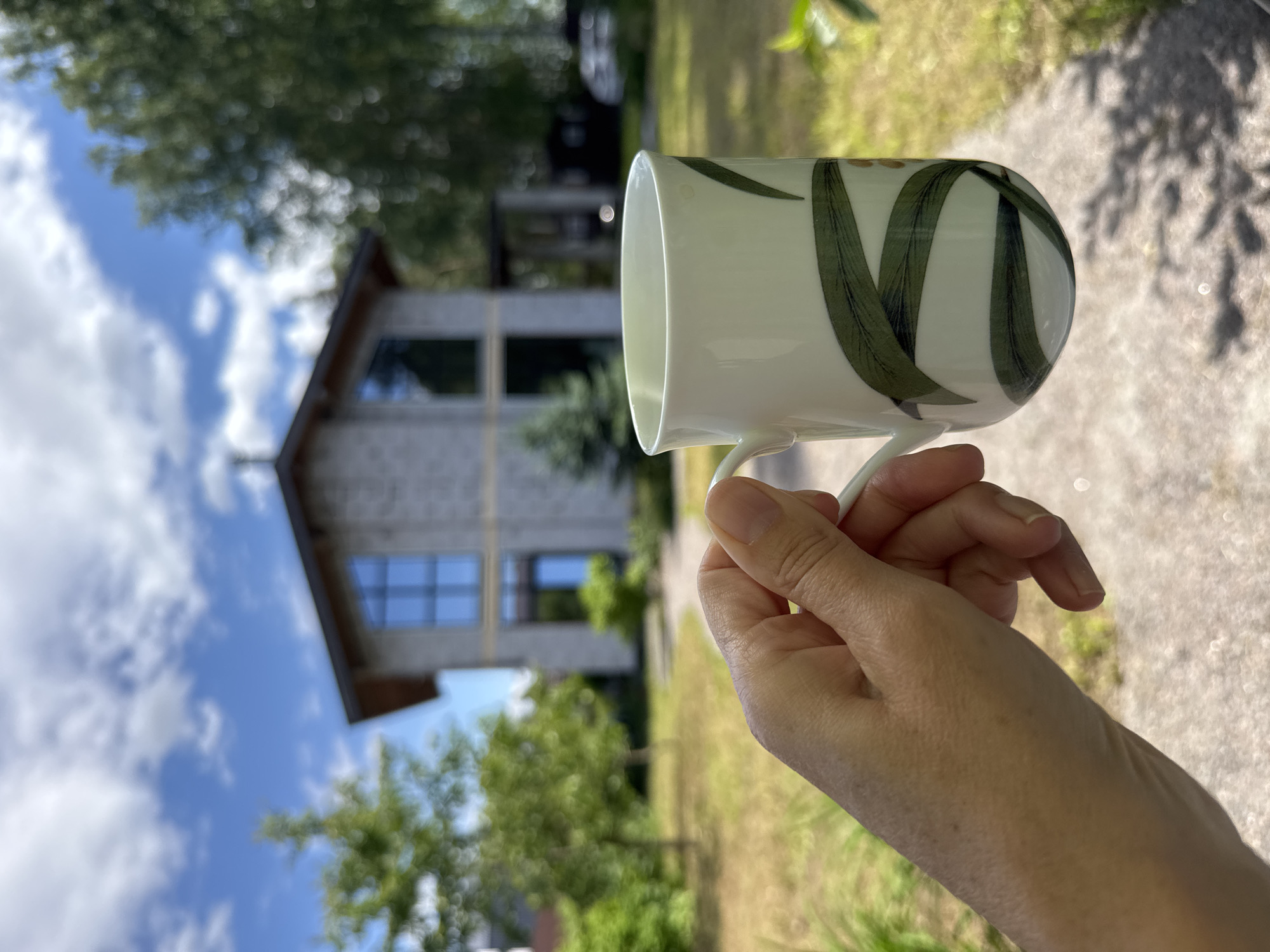 A person's hand holds a white mug with a green leaf pattern in the foreground. The mug is positioned to the right of the frame, with the hand holding the handle. In the background, a modern, light-colored house with large windows is visible. The house is surrounded by green trees and a lawn. A paved pathway leads towards the house. The sky above is blue with scattered white clouds. The overall setting suggests a residential area on a sunny day. The city of Steklyannyi, Russia is mentioned, but there are no specific visual cues in the image to confirm this location.