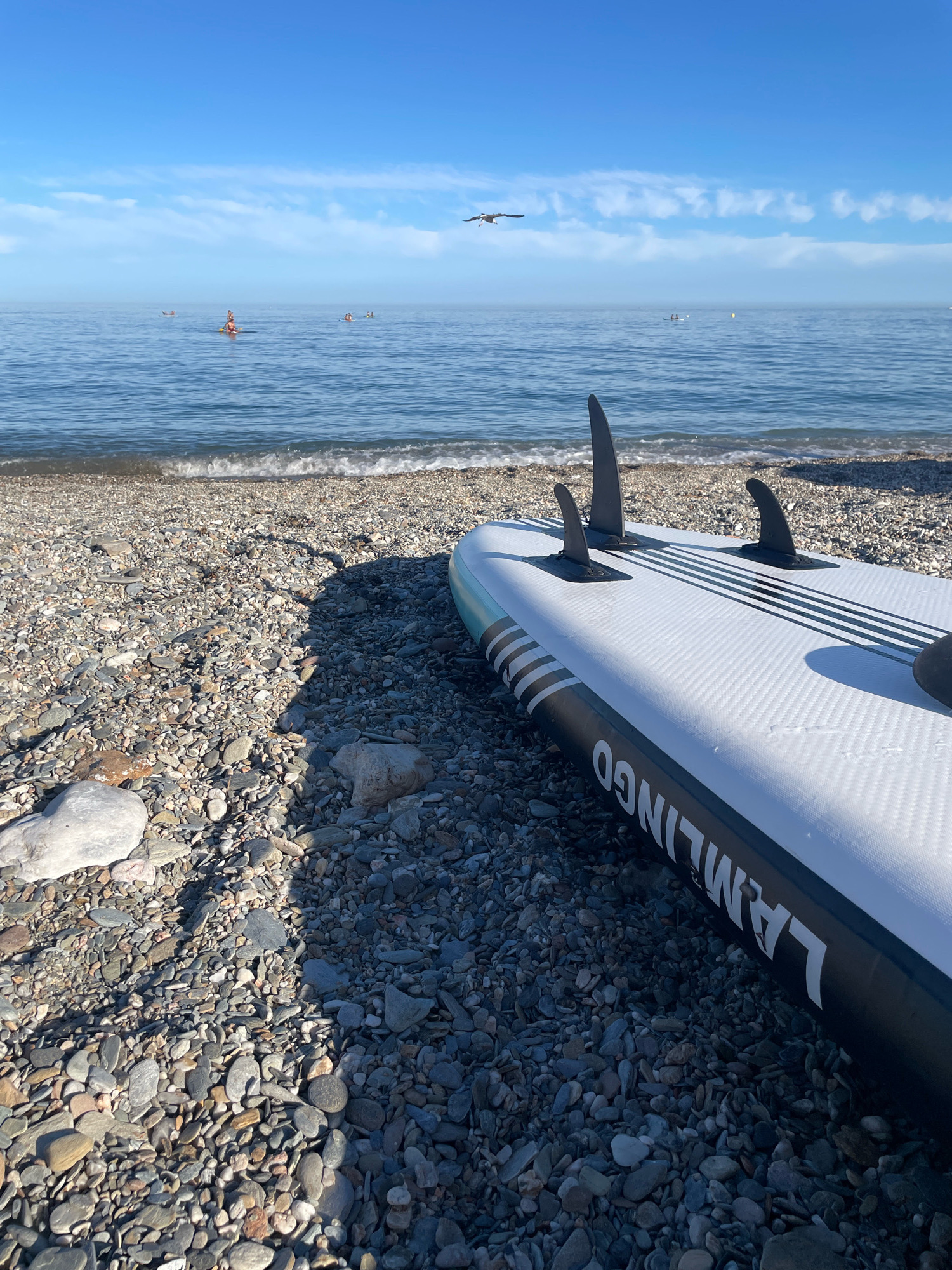 A stand-up paddleboard is resting on a pebble beach near the water. Several people are visible in the ocean, some on paddleboards and others swimming. The sky is clear blue with a few wispy clouds, and a seagull is flying overhead. The water is calm with small waves lapping at the shore. The paddleboard has black fins and the brand name "LAMLINGO" is visible on its side. The beach is covered in a variety of smooth pebbles.